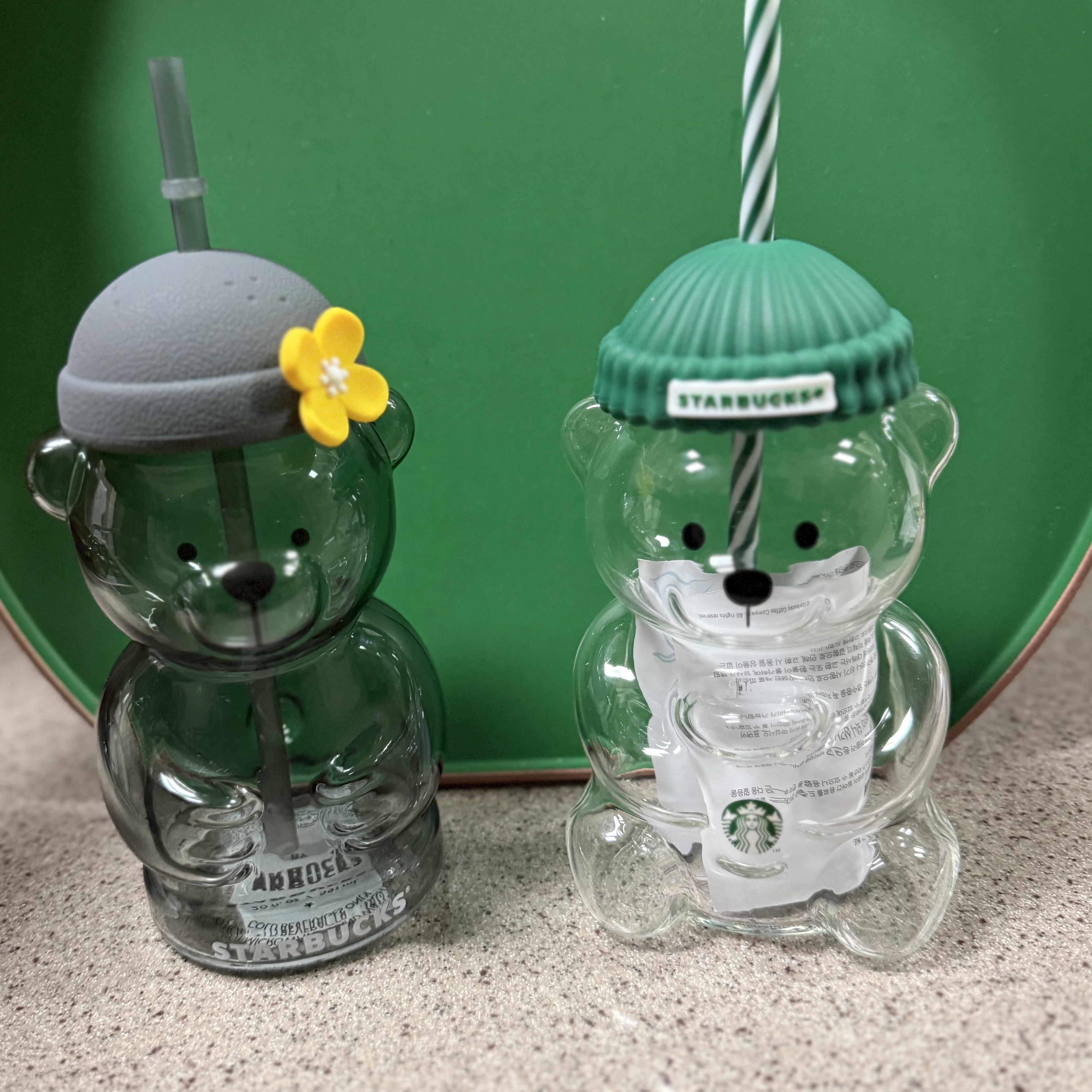 Starbucks Autumn Bearista Glass Cold Cup 591ml, Starbucks Jeju Bearista Glass Cold Cup 591ml 착용 스타일