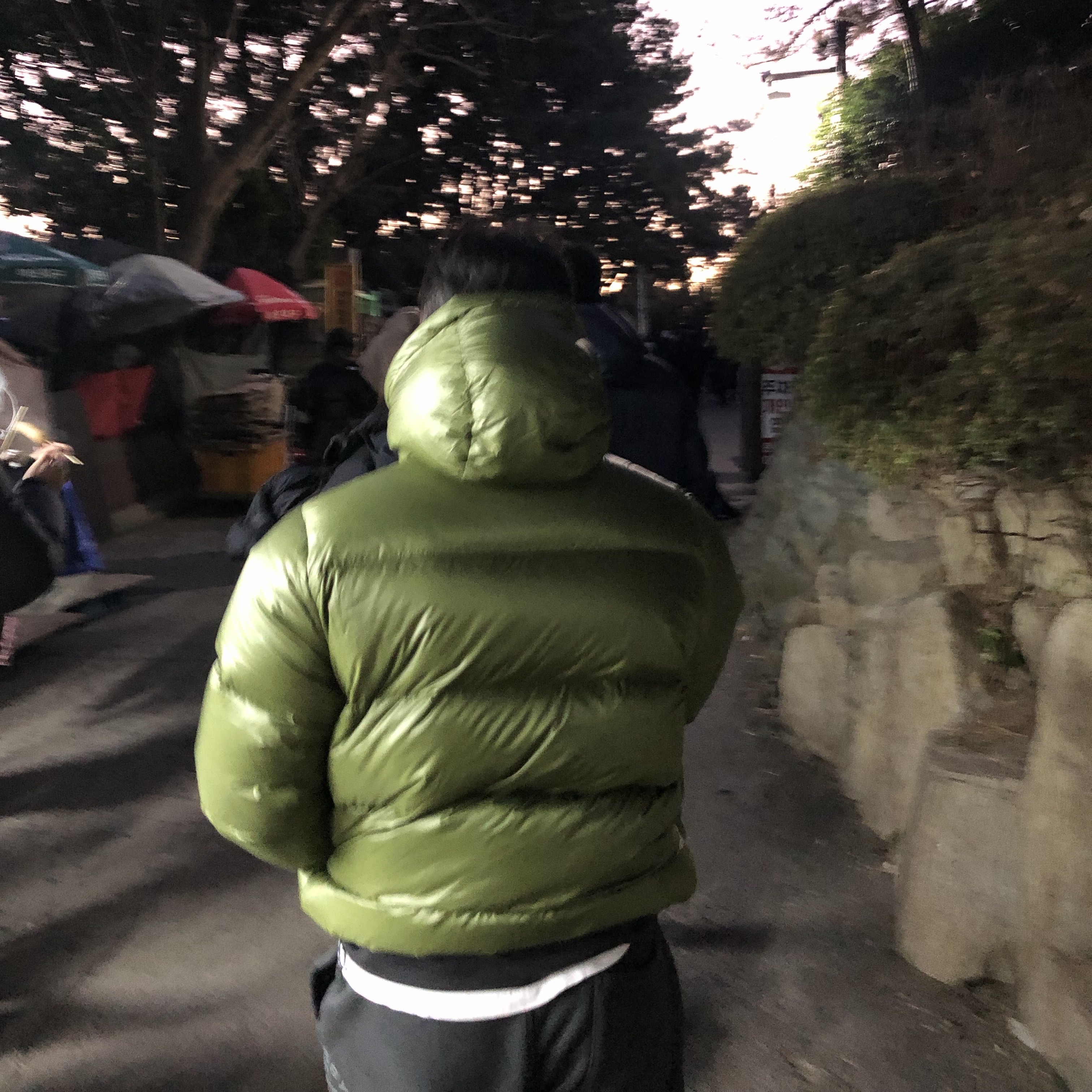 Stussy Micro Ripstop Down Parka Olive 착용 스타일 - 2