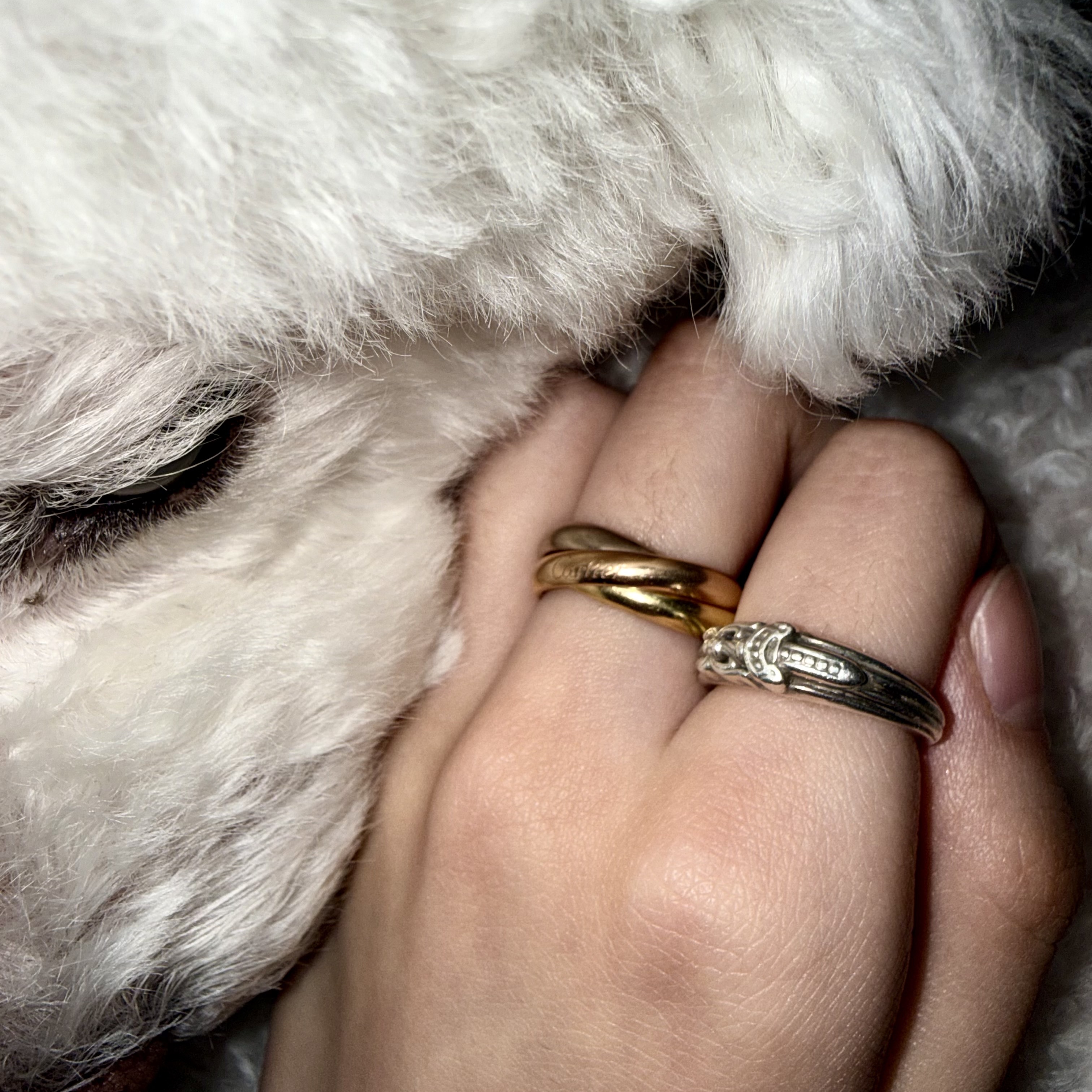 Cartier Trinity Ring Classic White Gold Yellow Gold Rose Gold, Hansroom Chrome Hearts #10 Dagger 착용 스타일 - 1