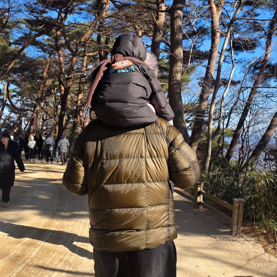 IAB Studio Herringbone Hoodie Gray White, C.P. Company D.D. Shell Hooded Down Jacket Ivy Green - 25FW 착용 스타일 - 1