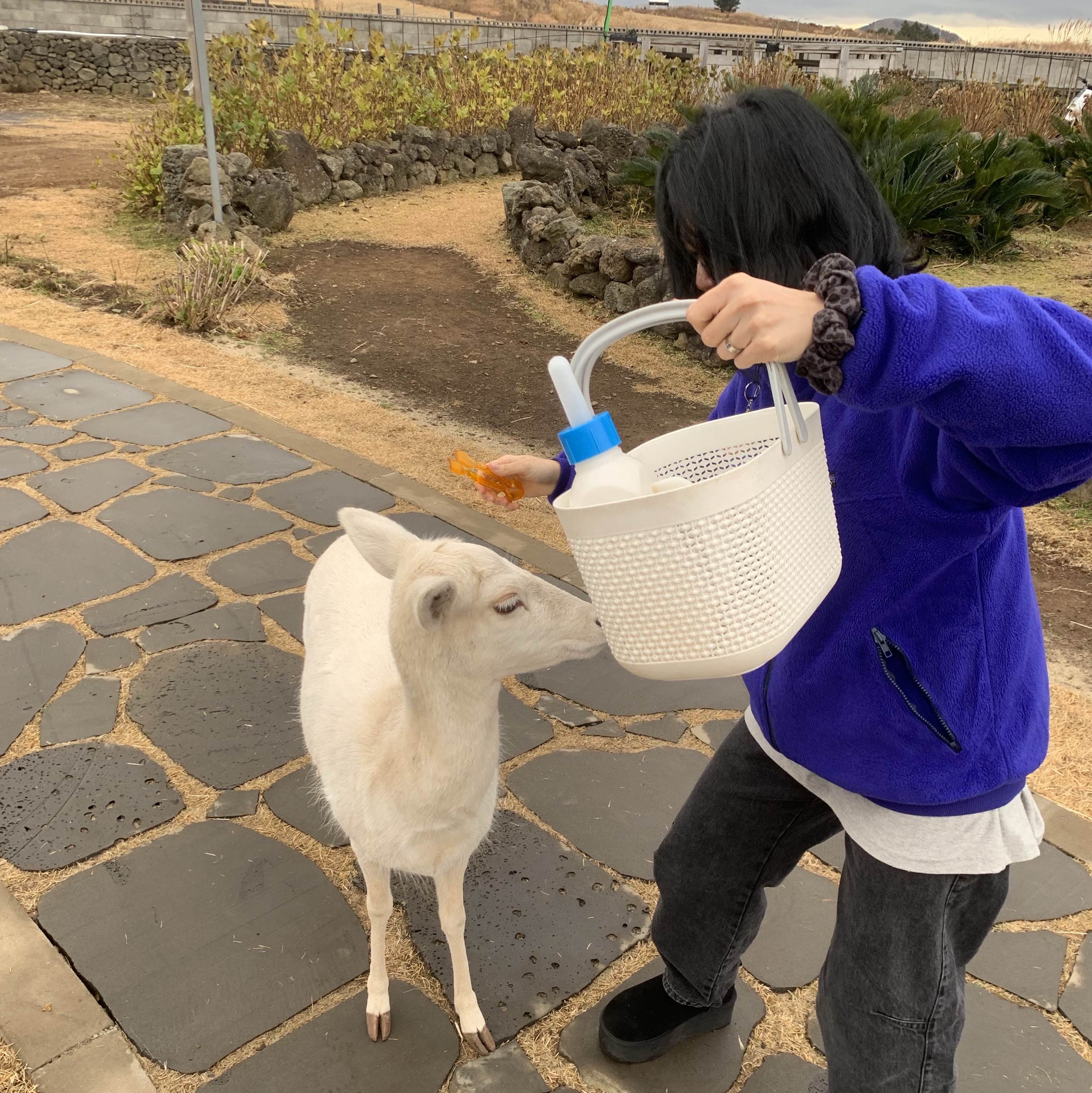 (W) UGG Classic Ultra Mini Platform Boots Black, Cartier Love Ring White Gold 착용 스타일 - 1