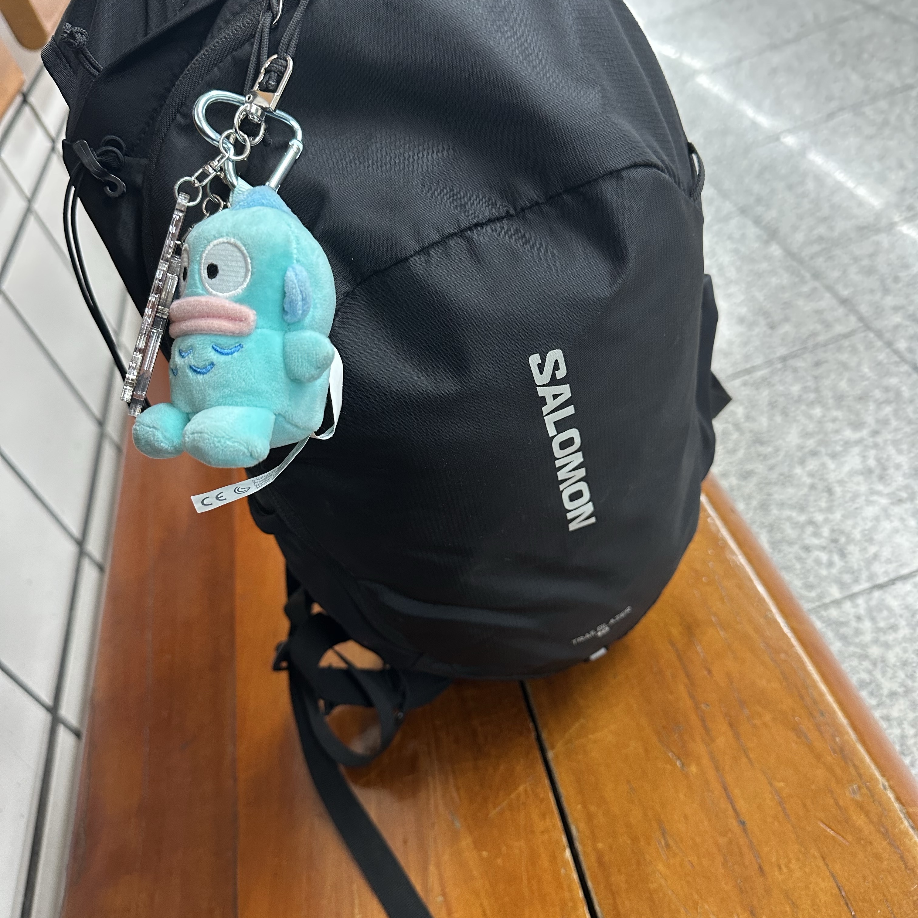 Salomon Trailblazer 10 Black 착용 스타일