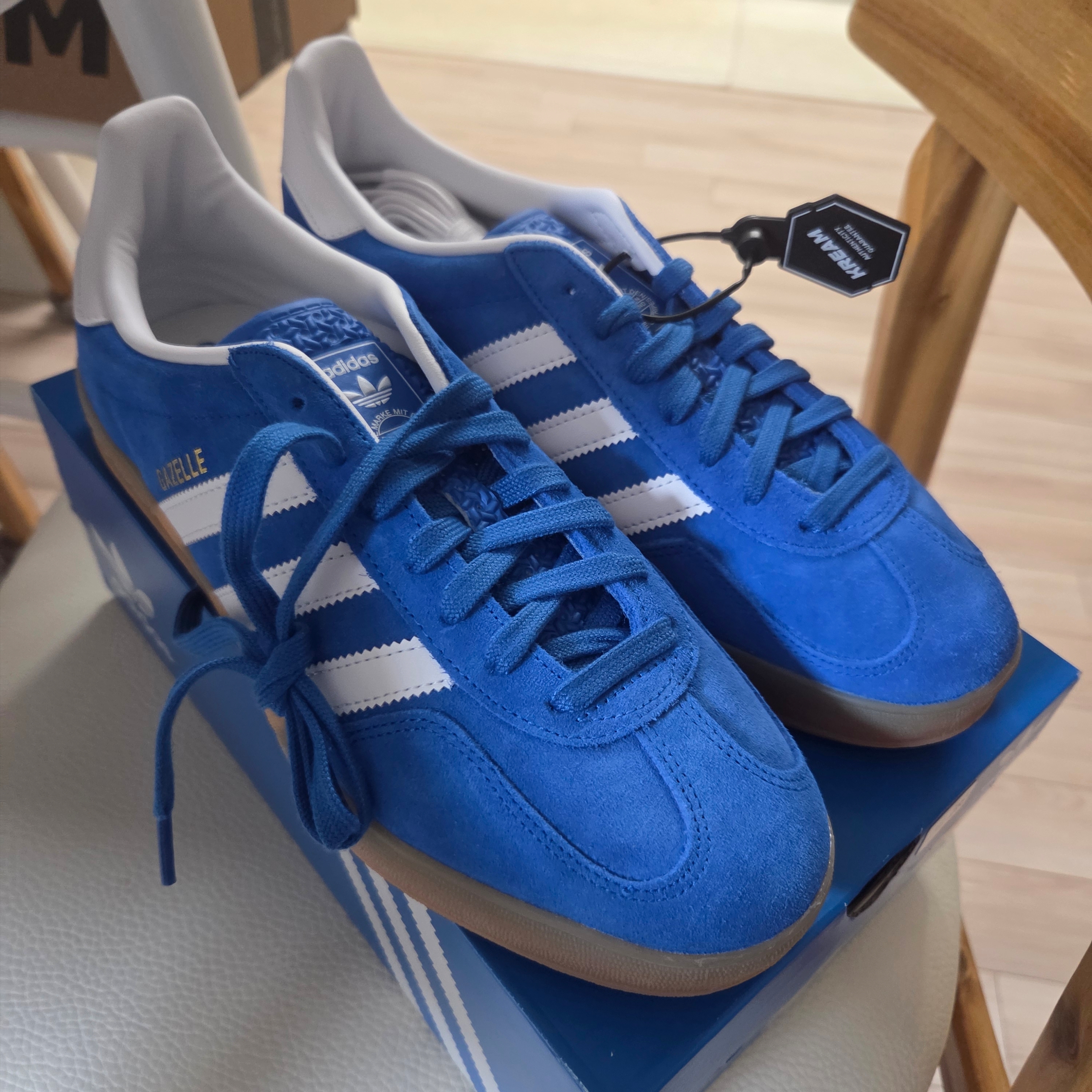 Adidas Gazelle Indoor Blue Bird Cloud White 착용 스타일