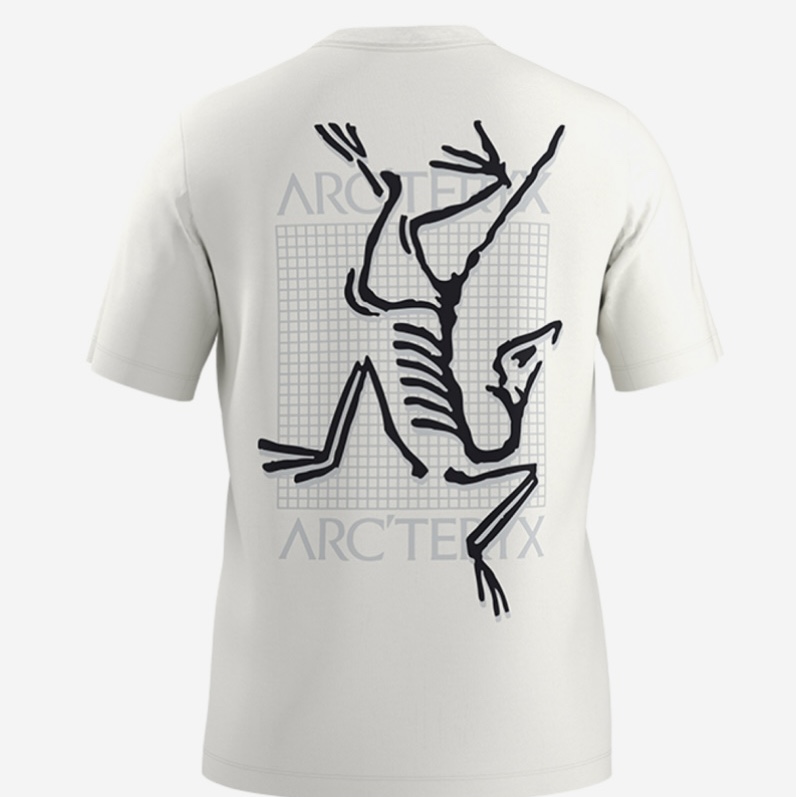 Arc'teryx Arc'Multi Bird Logo SS T-Shirt White Light 착용 스타일 - 2