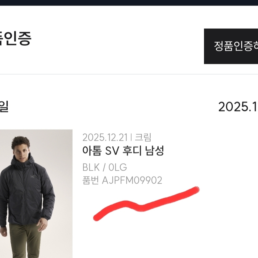 Arc'teryx Atom SV Hoody Black Sapphire 착용 스타일 - 2