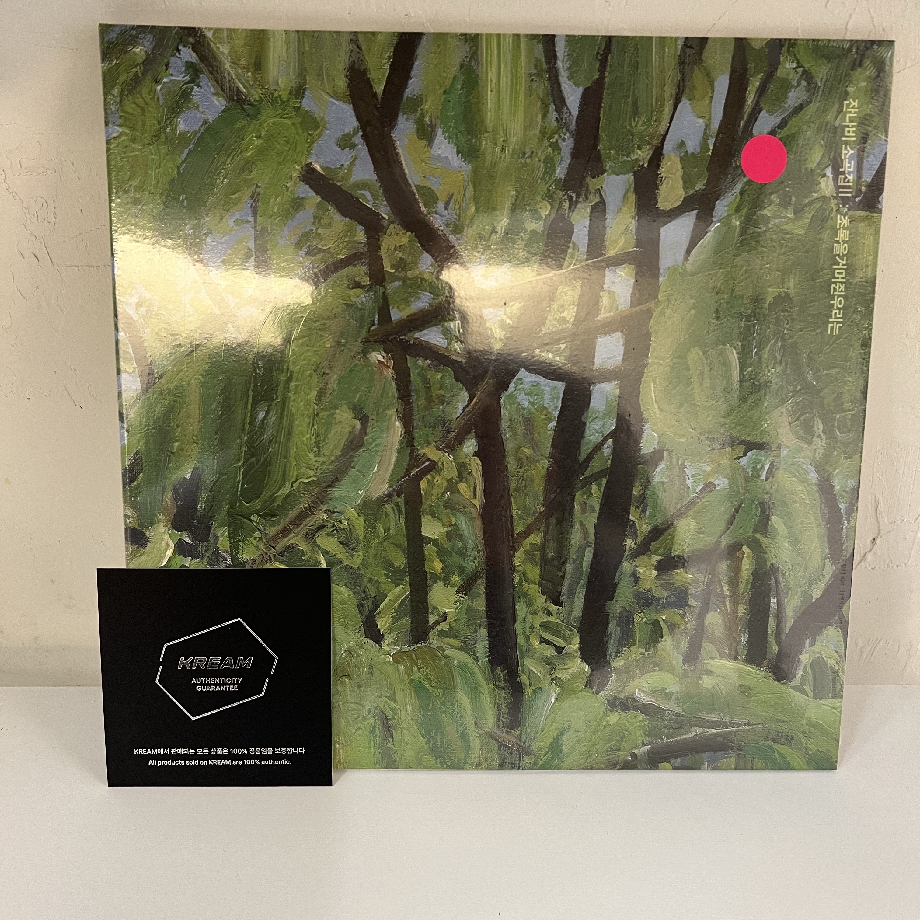 Jannabi Small Pieces II GRIPPIN’THEGREEN LP Pink & Purple Splatter Mix 착용 스타일