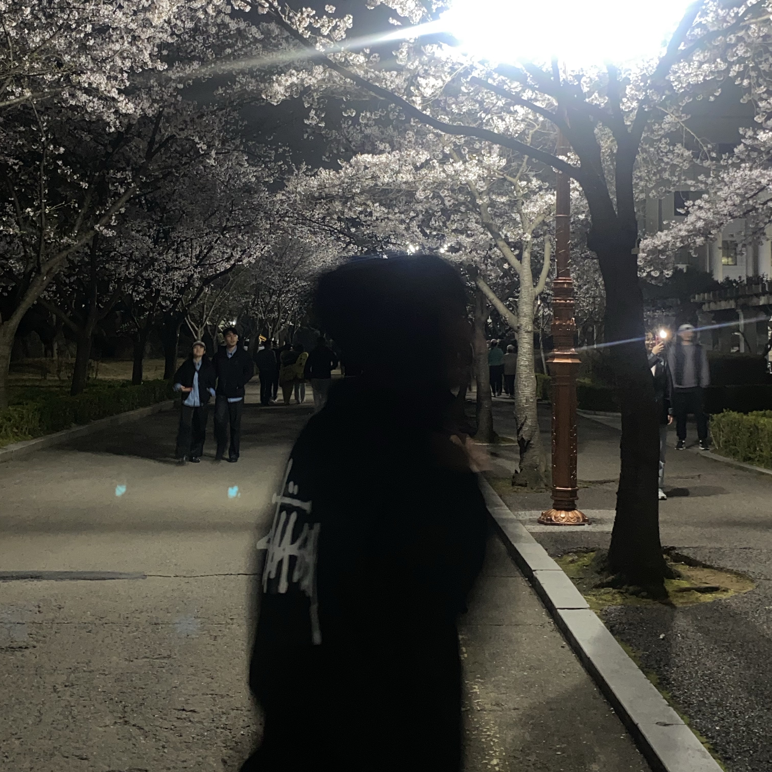 Stussy Basic Stussy Hoodie Black 2023 착용 스타일 - 2