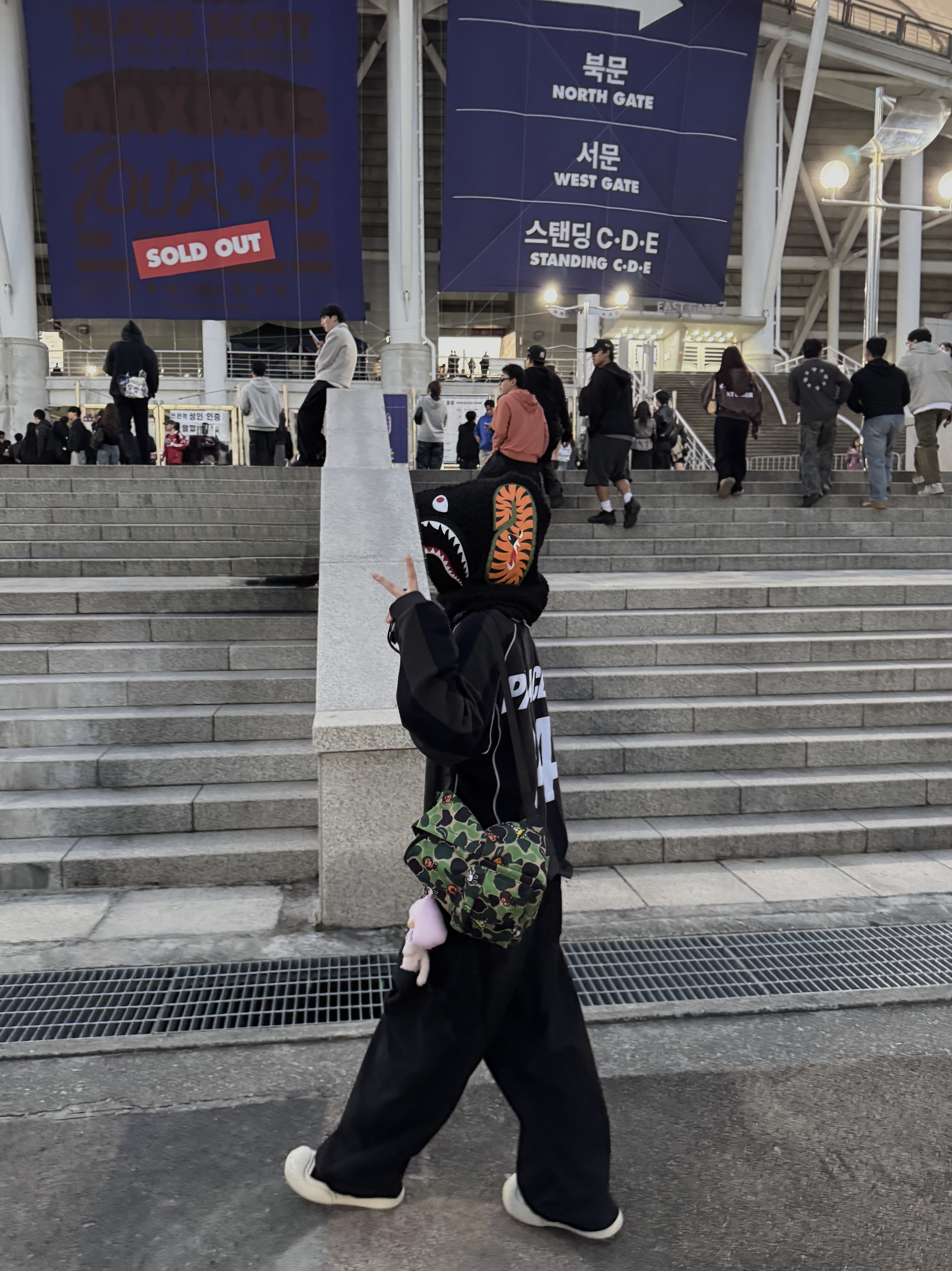Palace Sportiva Knit Black - 24FW, BAPE Baby Milo Mini Backpack Green 착용 스타일