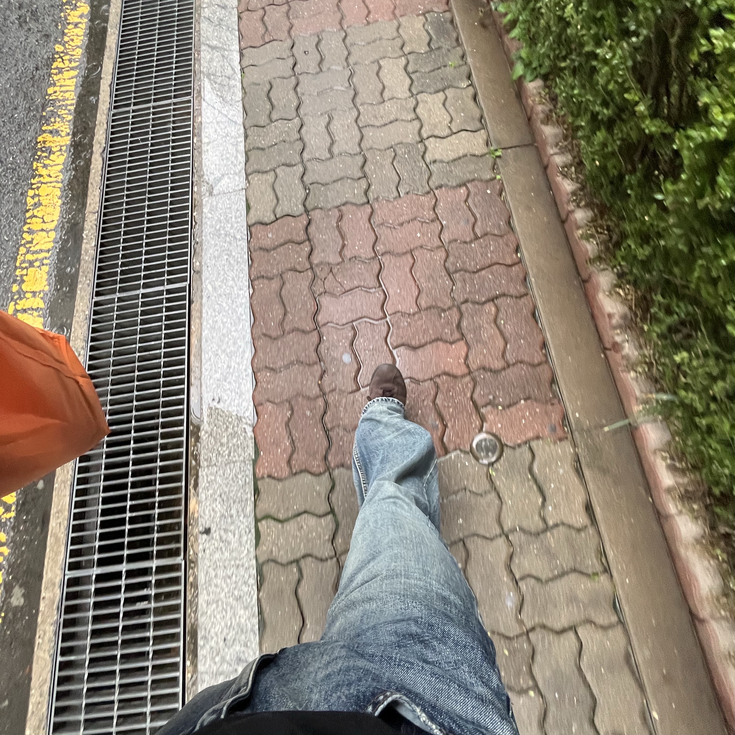 Adidas Tobacco Gruen Dark Brown 착용 스타일