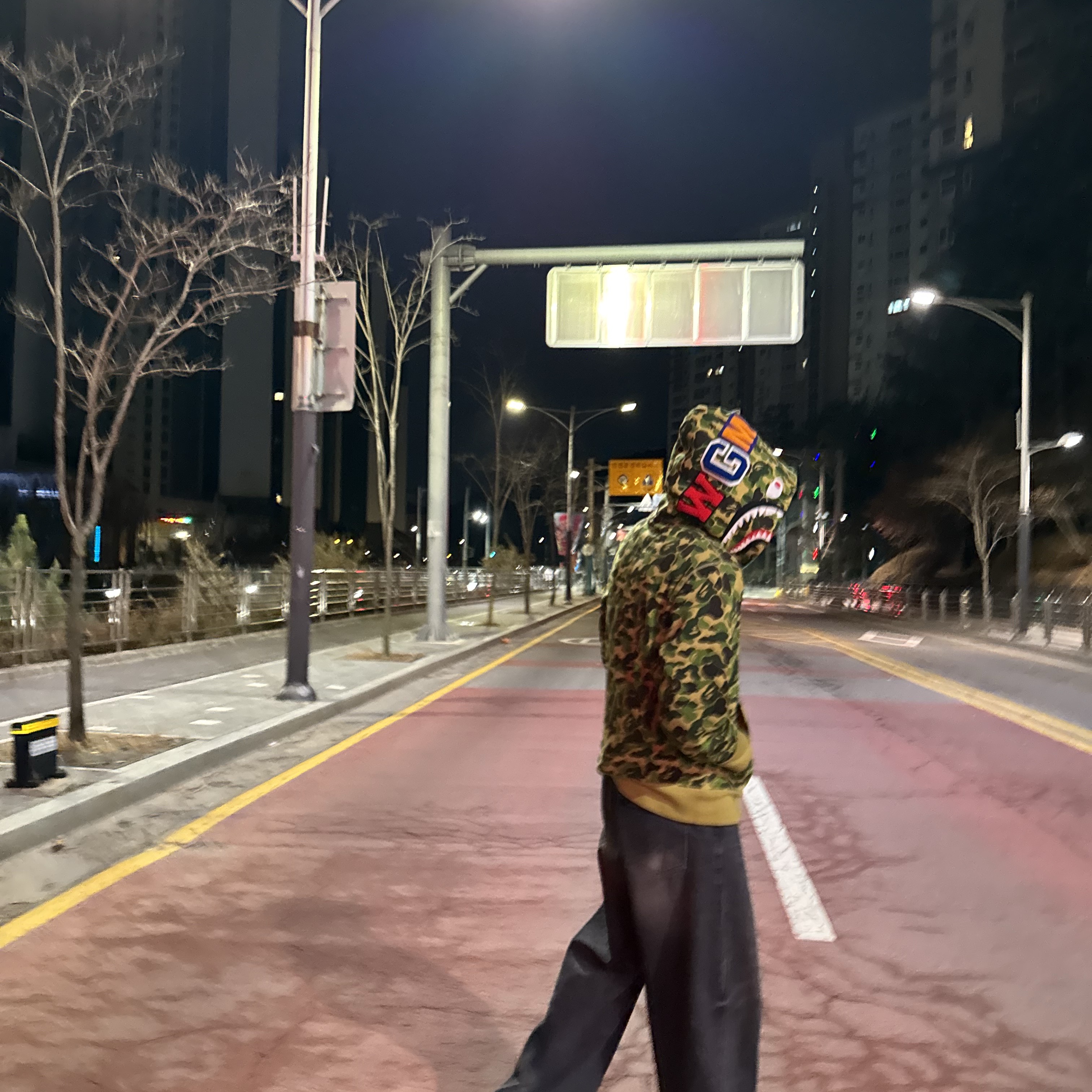 BAPE ABC Camo Shark Full Zip Hoodie Green 착용 스타일 - 1