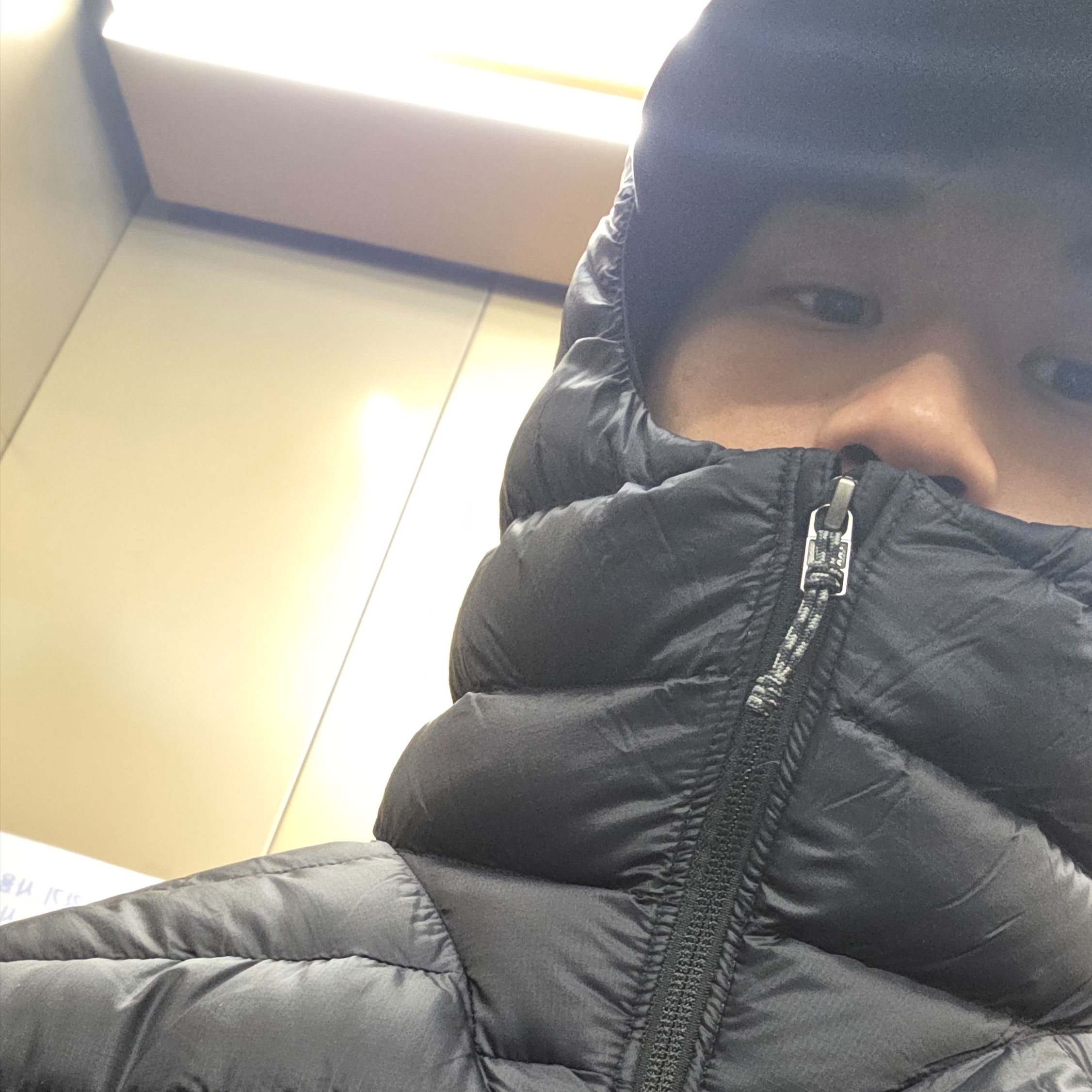 Patagonia Down Sweater Hoody Black 착용 스타일 - 2