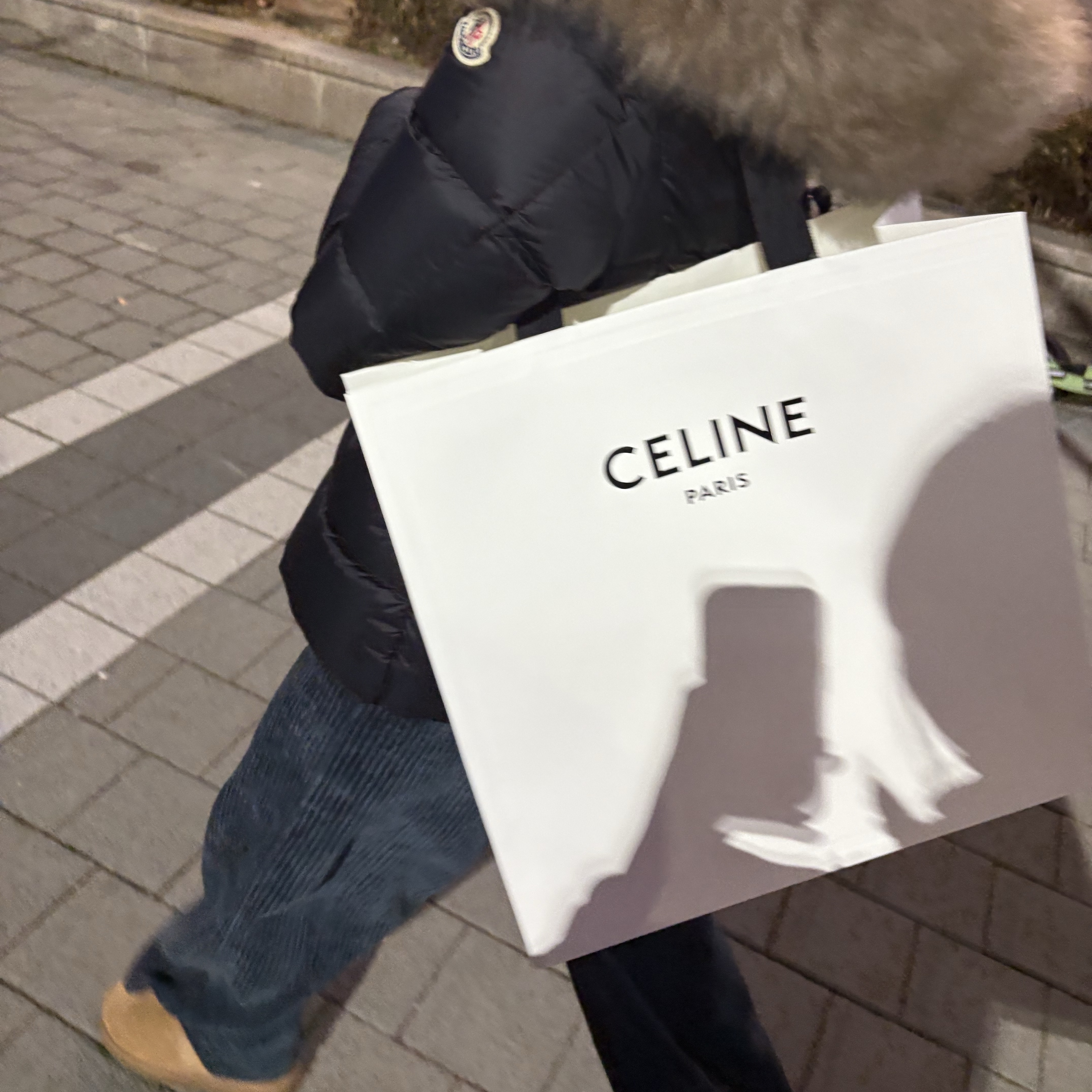 UGG Classic Mini Boots Chestnut, (W) Moncler Boed Short Down Jacket Black - 23FW 착용 스타일