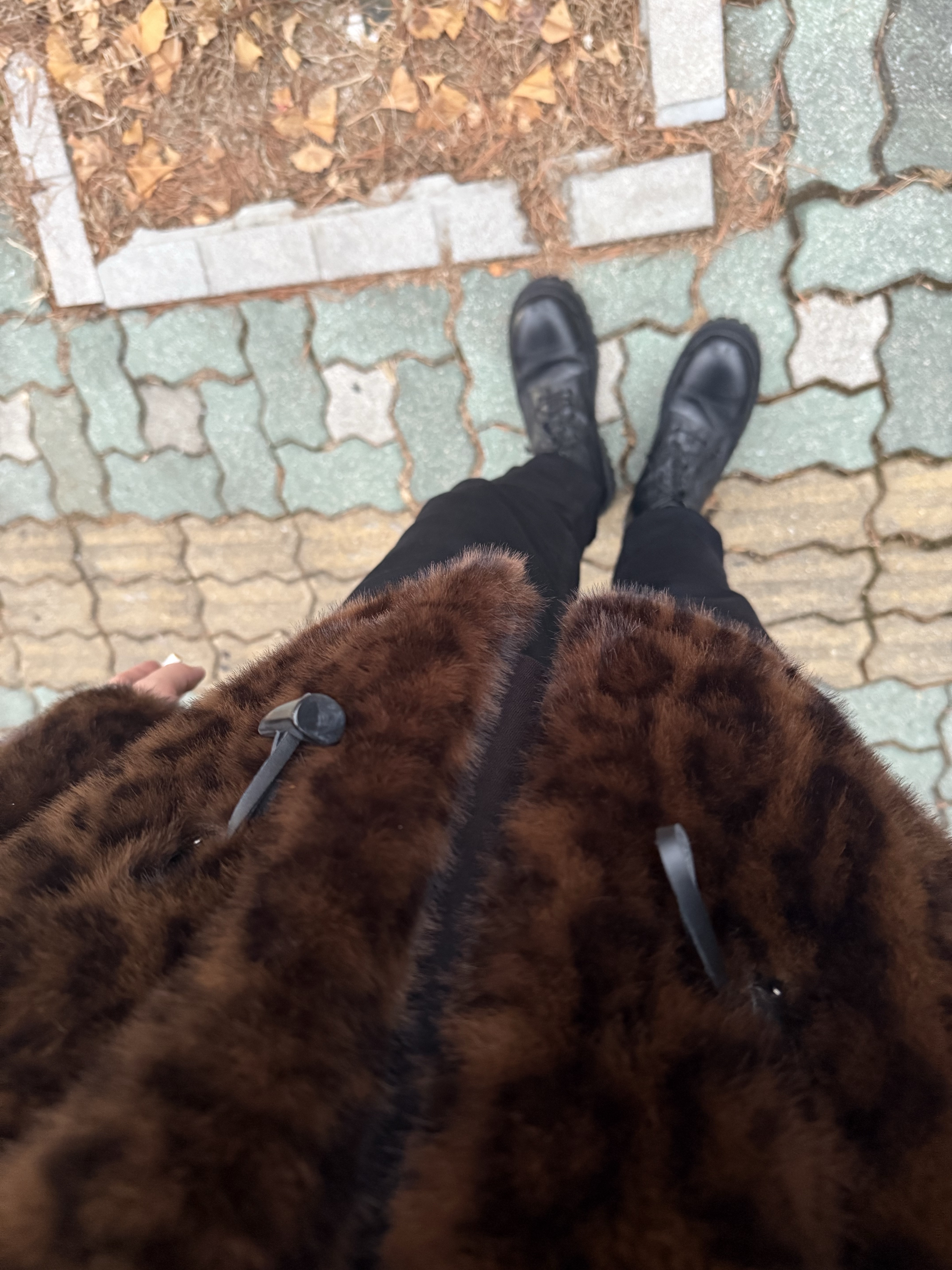 ์์
์ด๋ฏธ์ง