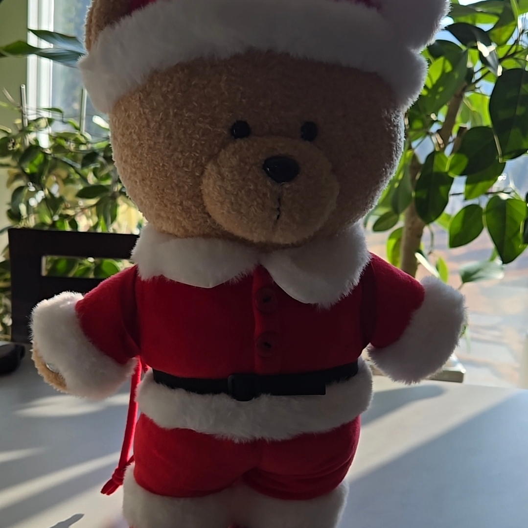 Starbucks Secret Dancing Bearista 착용 스타일
