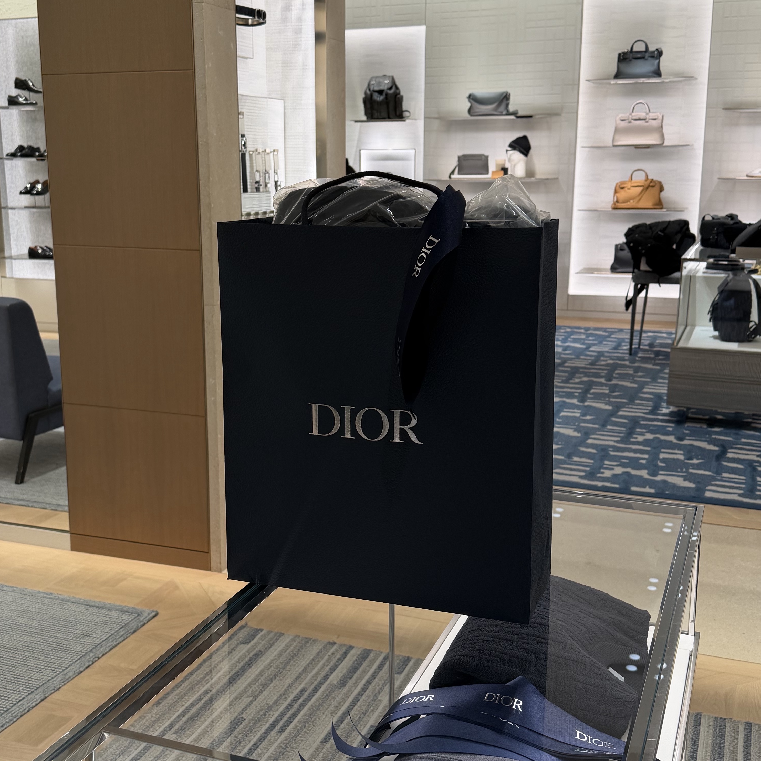 Dior Oblique Down Jacket Black Nylon Jacquard 착용 스타일