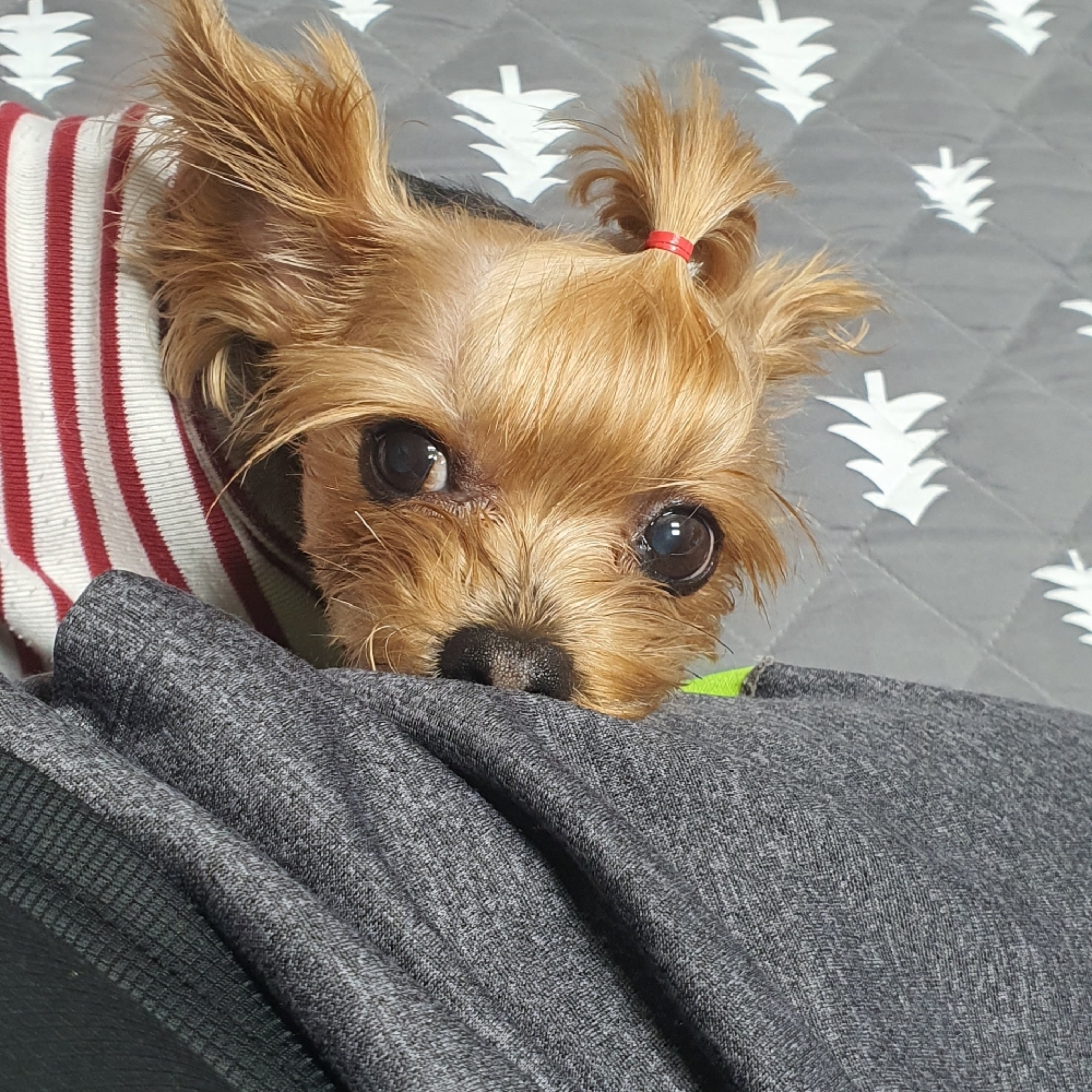 관심 유저 프로필 이미지