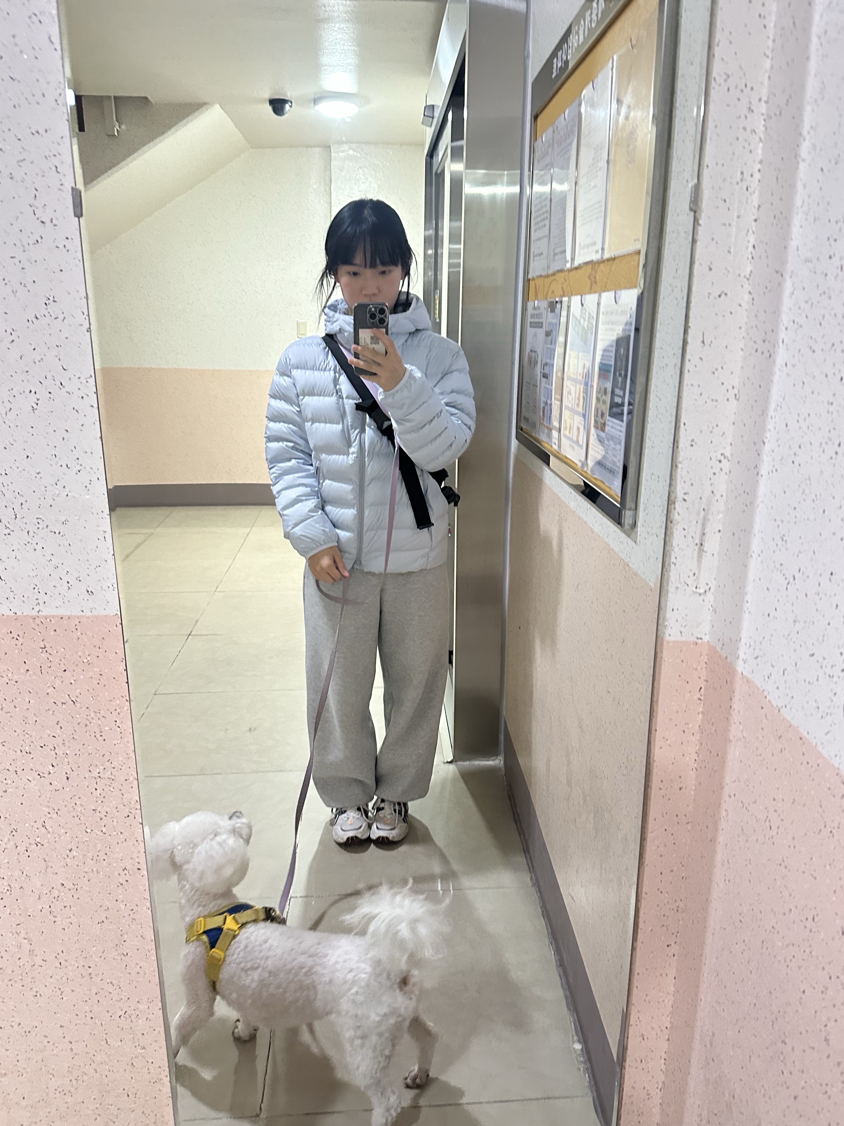 Musinsa Standard City Leisure Hooded Light Down Jacket Cloudy Blue, (W) Asics Gel-1090 White Midnight ์ฐฉ์ฉ ์คํ์ผ - 2