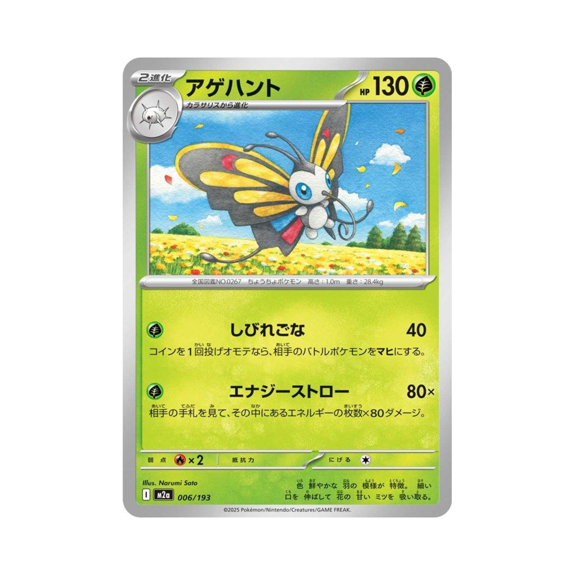 포켓몬 TCG 뷰티플라이 메가 드림 ex (일어판)(Pokemon TCG Beautifly Mega Dream ex (Japanese Ver.)) - 1