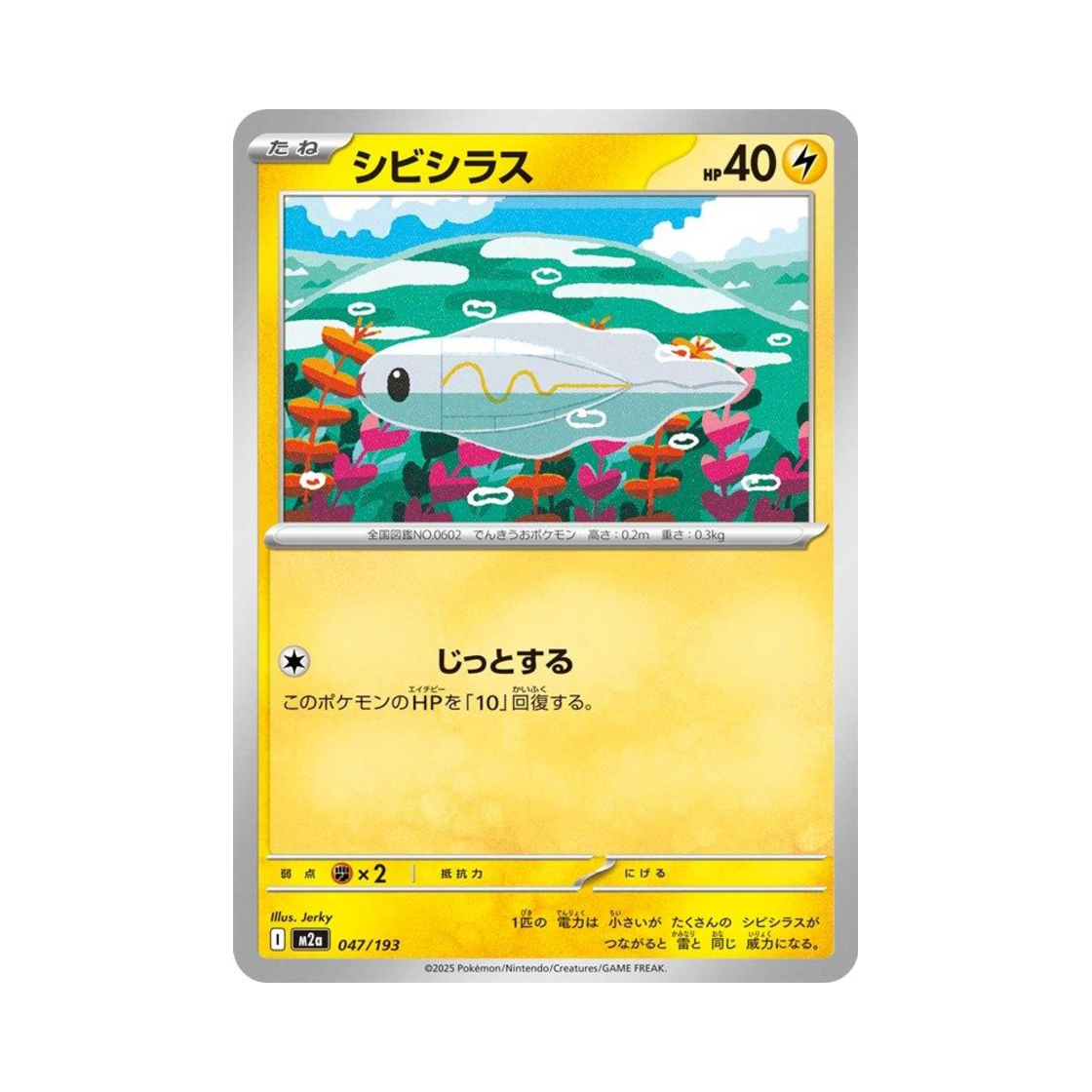 포켓몬 TCG 저리어 메가 드림 ex (일어판)(Pokemon TCG Tynamo Mega Dream ex (Japanese Ver.))