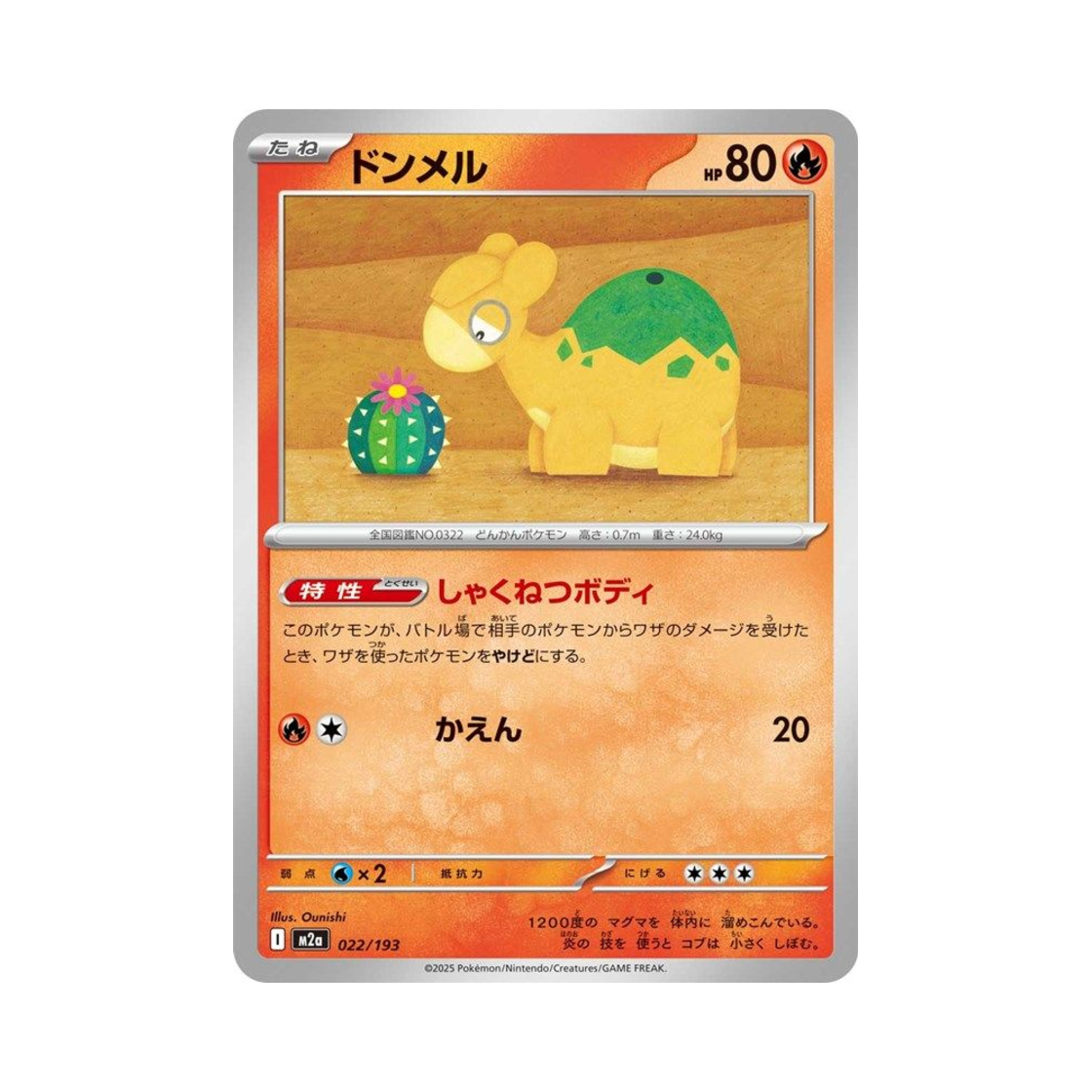 포켓몬 TCG 둔타 메가 드림 ex (일어판)(Pokemon TCG Numel Mega Dream ex (Japanese Ver.))