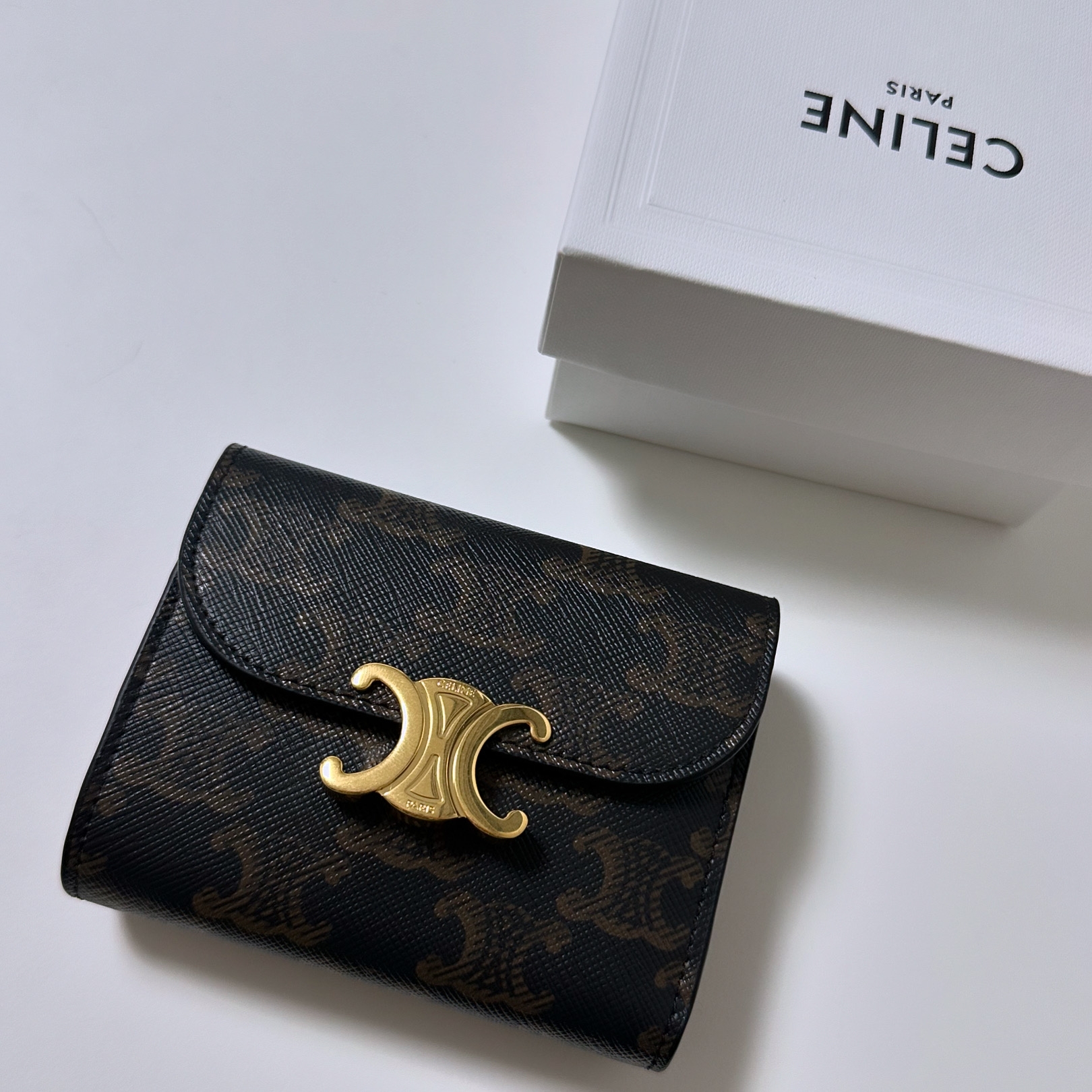 Celine Small Wallet Triomphe in Triomphe Canvas Tan 착용 스타일