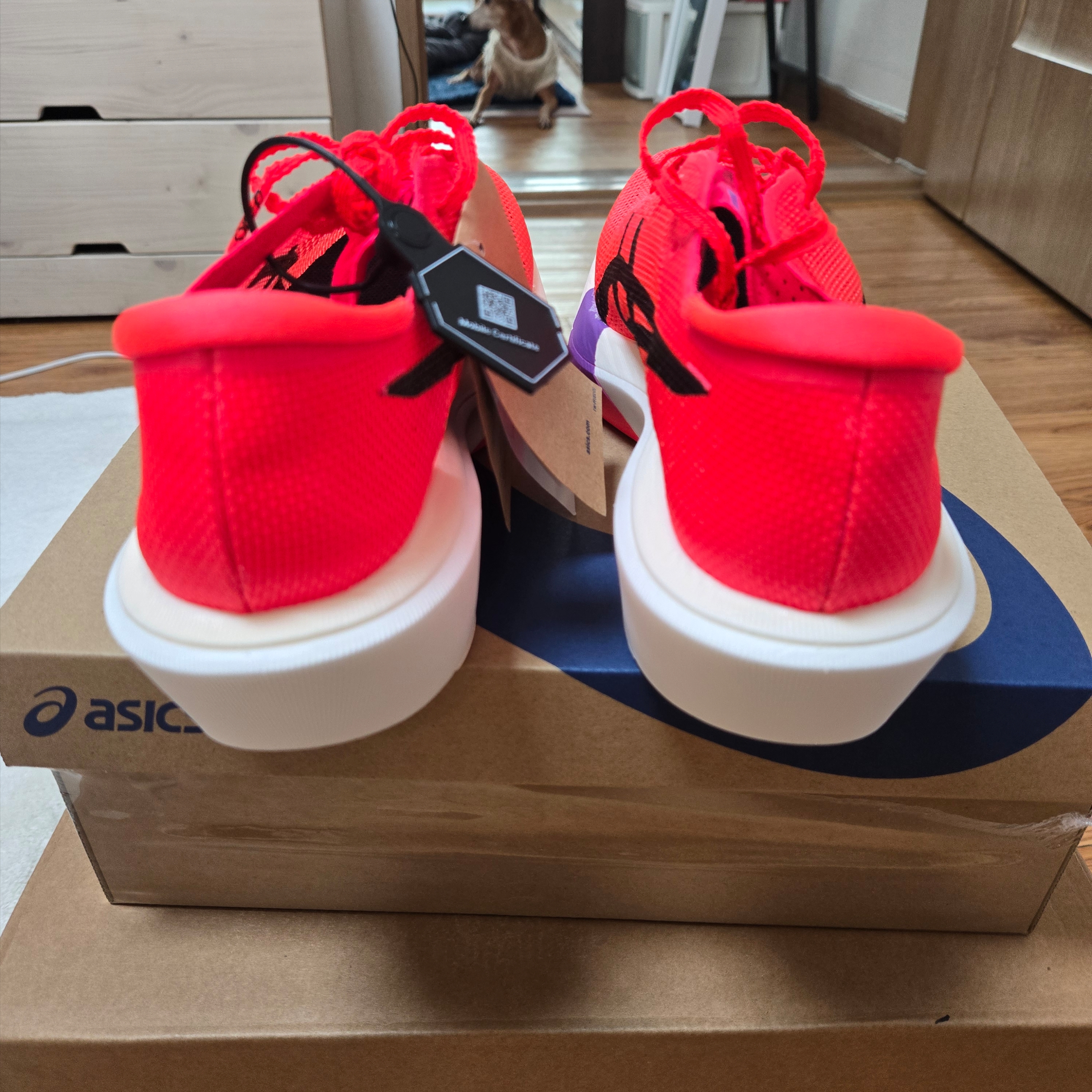 Asics Metaspeed Sky Tokyo Flash Red Black 착용 스타일 - 5