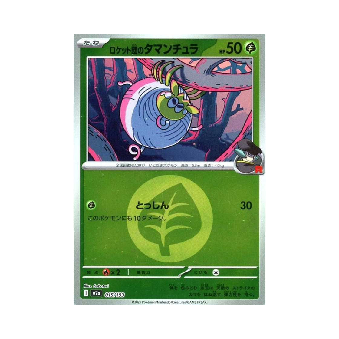 포켓몬 TCG 로켓단의 타랜툴라 에너지 미러 메가 드림 ex (일어판)(Pokemon TCG Team Rocket's Tarountula Energy Mirror Mega Dream ex (Japanese Ver.)) - 1