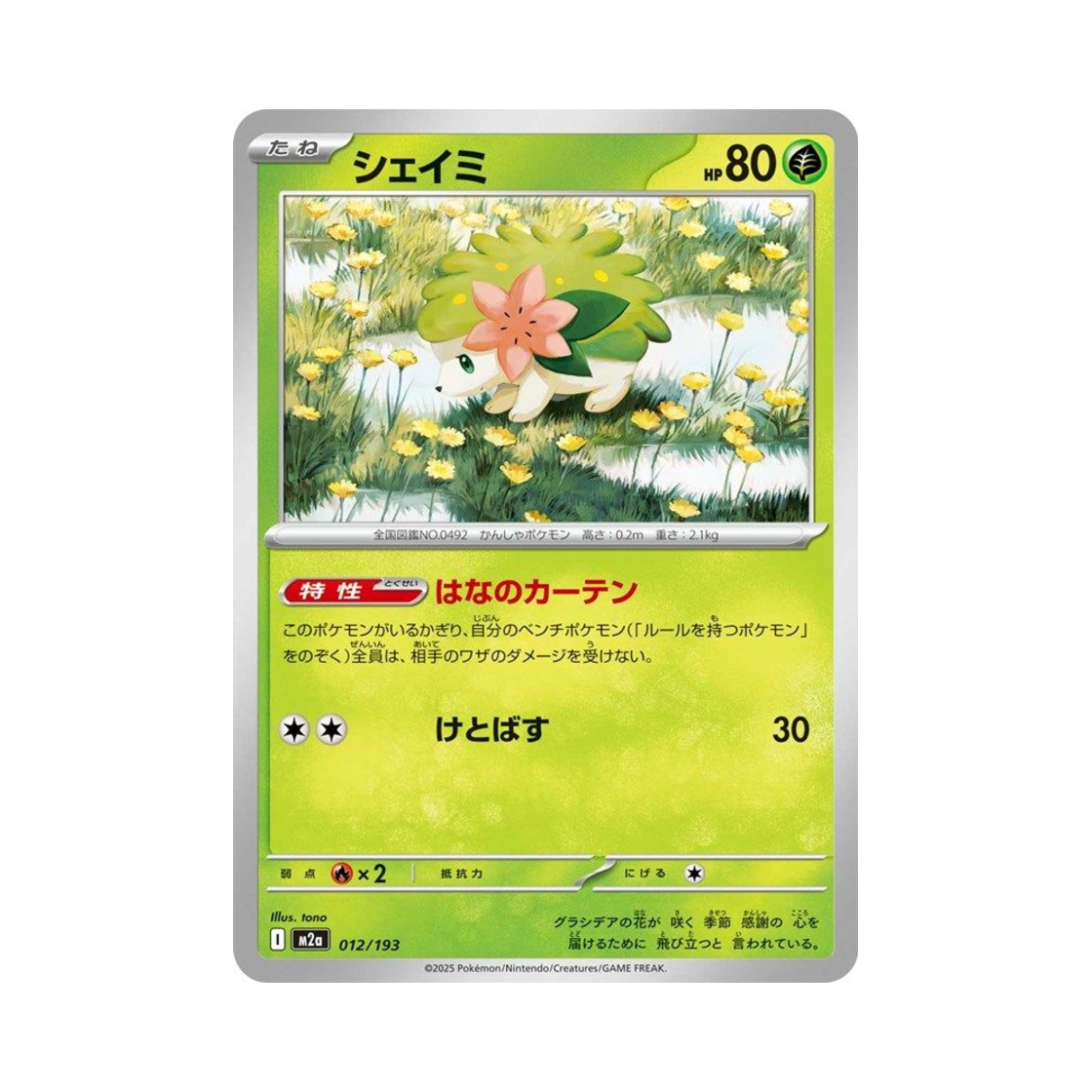 포켓몬 TCG 쉐이미 메가 드림 ex (일어판)(Pokemon TCG Shaymin Mega Dream ex (Japanese Ver.)) - 1