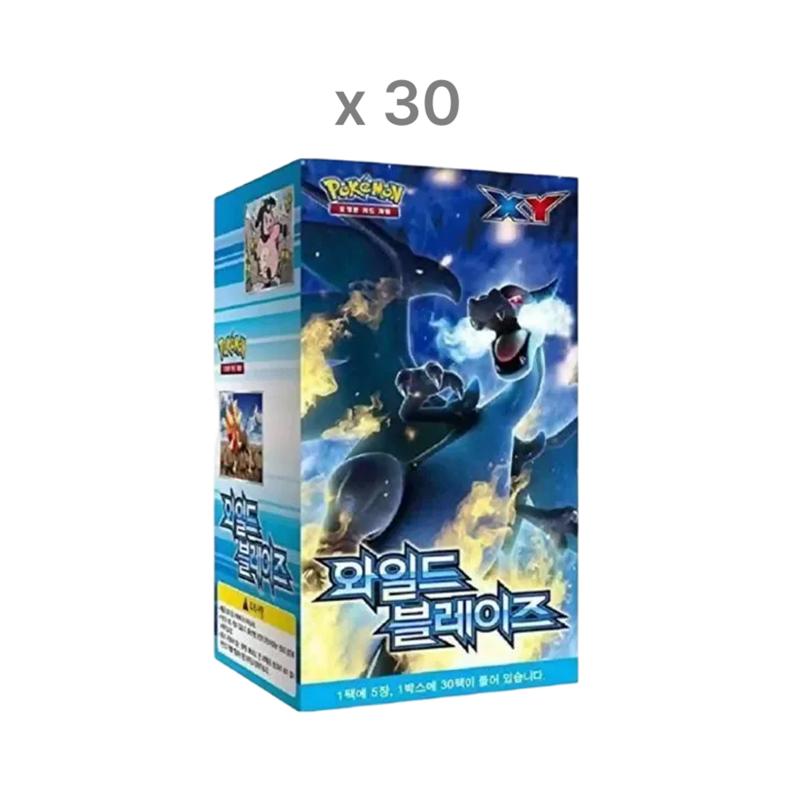 포켓몬 TCG XY 확장팩 와일드 블레이즈 8 박스 (총 240팩/한글판