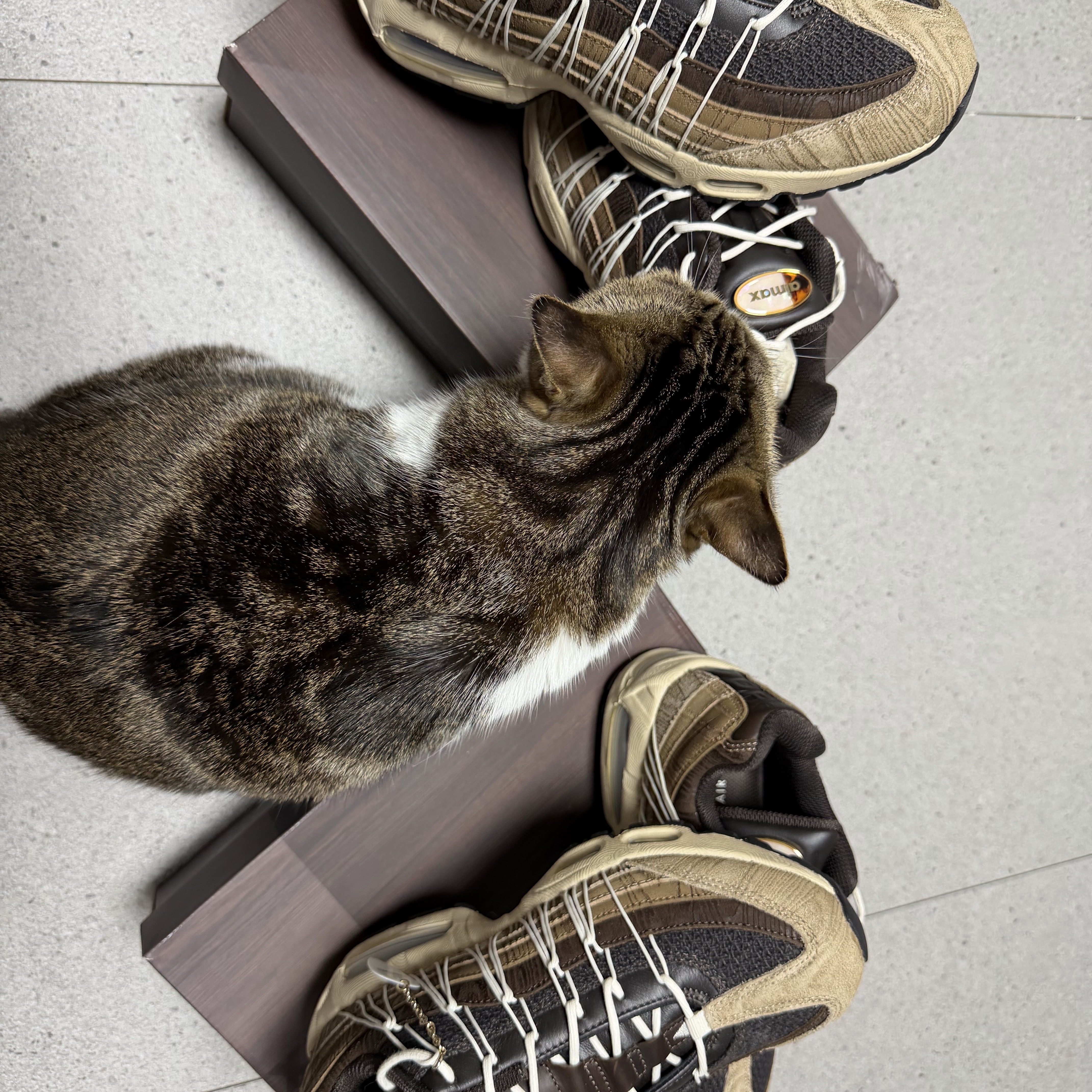 Nike x Phantaci Air max 95 Sanddrift Brown 착용 스타일 - 2