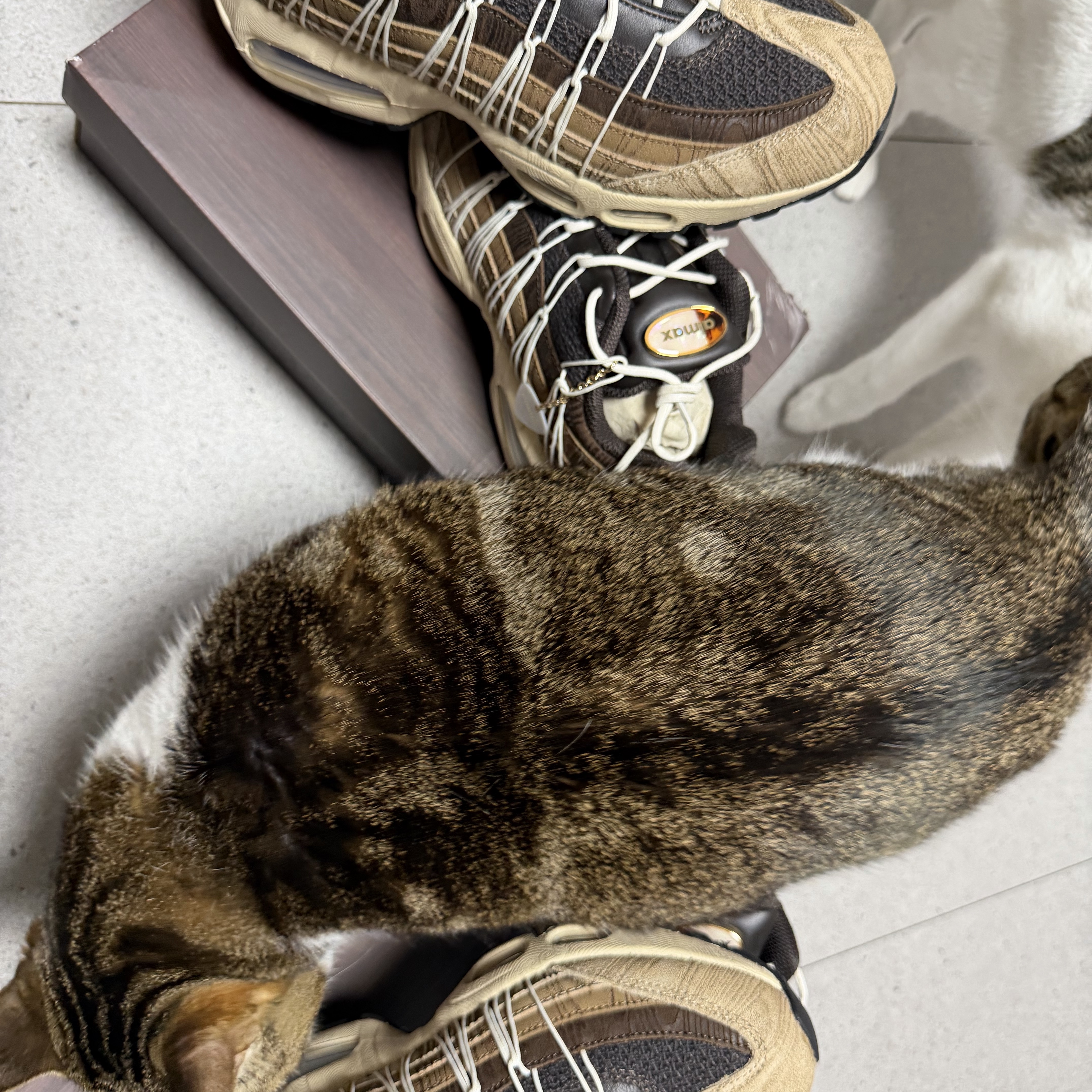 Nike x Phantaci Air max 95 Sanddrift Brown 착용 스타일 - 1
