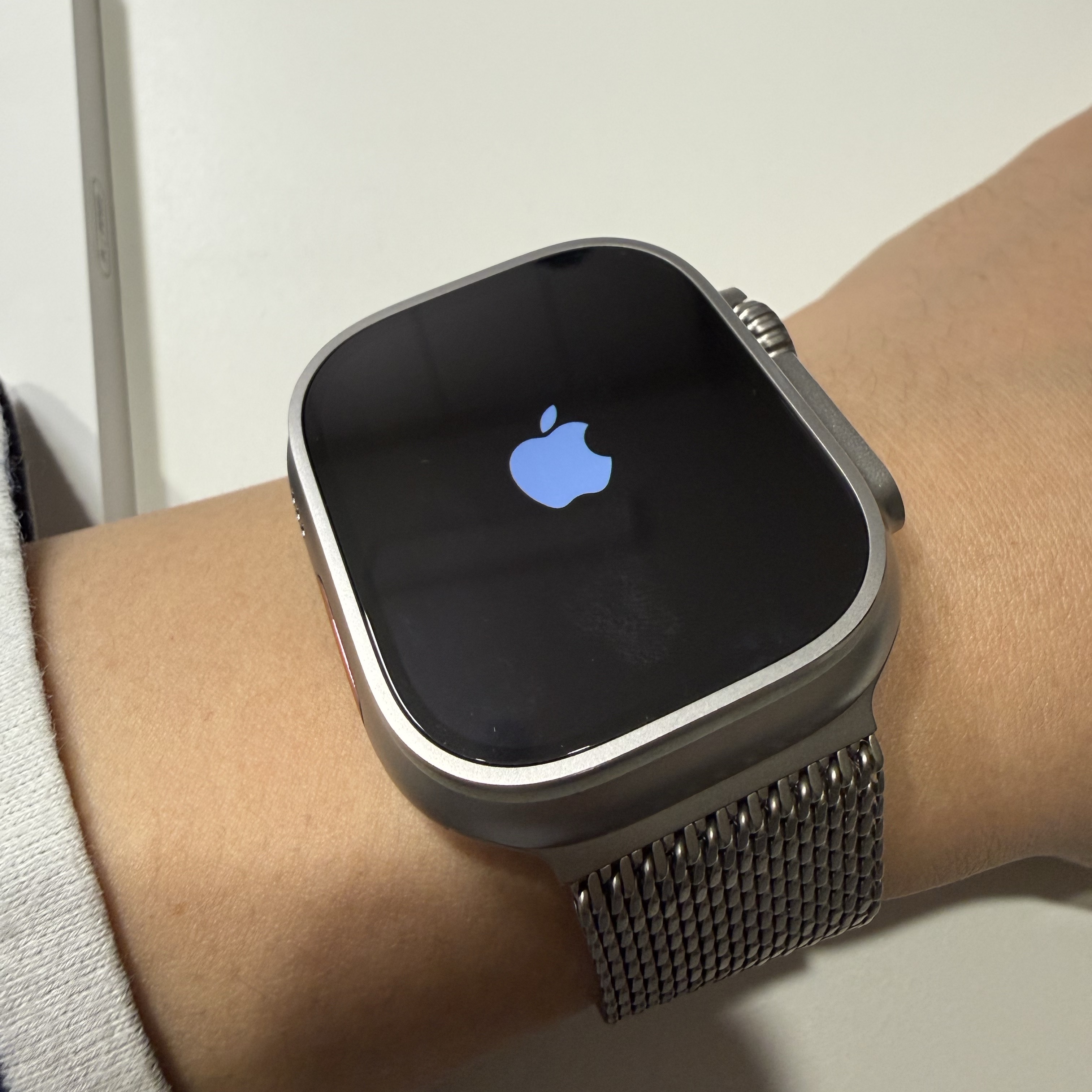 Apple Watch Ultra 3 49mm Natural Titanium Case with M Milanese Loop Natural (Korean Ver.) 착용 스타일