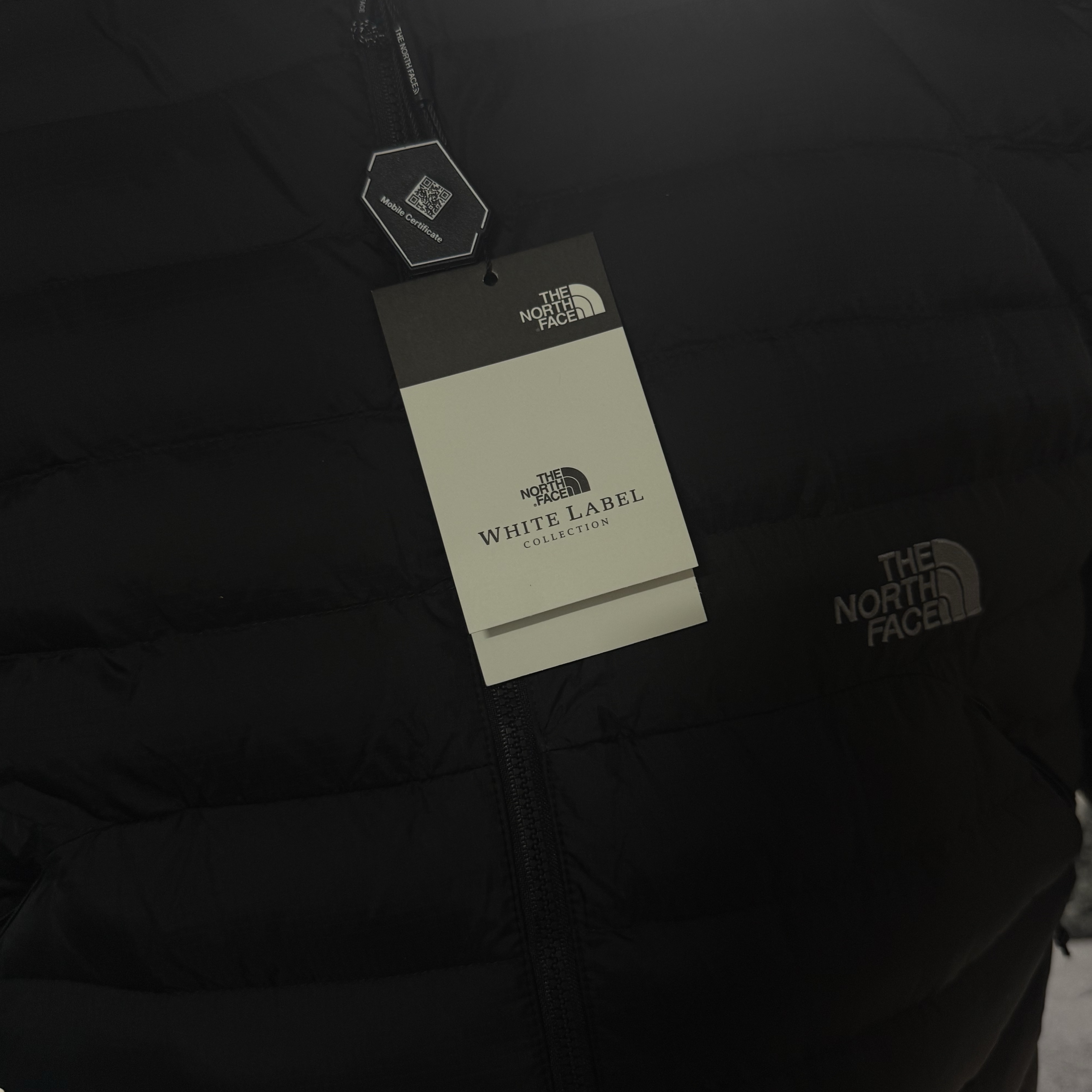 The North Face Ventus On Jacket Black 착용 스타일