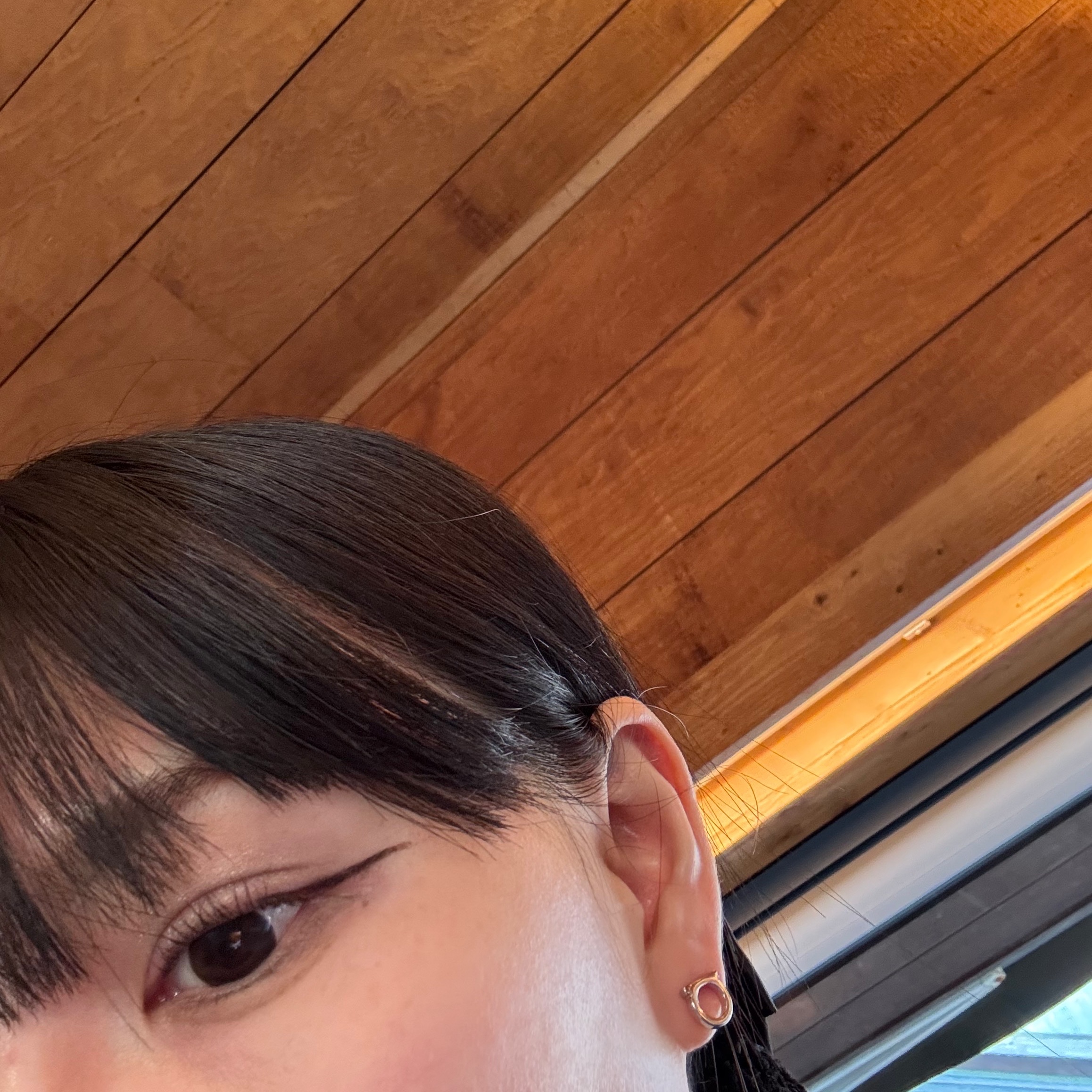 (W) Ferragamo Gancini Small Earrings Brass & Palladium 착용 스타일