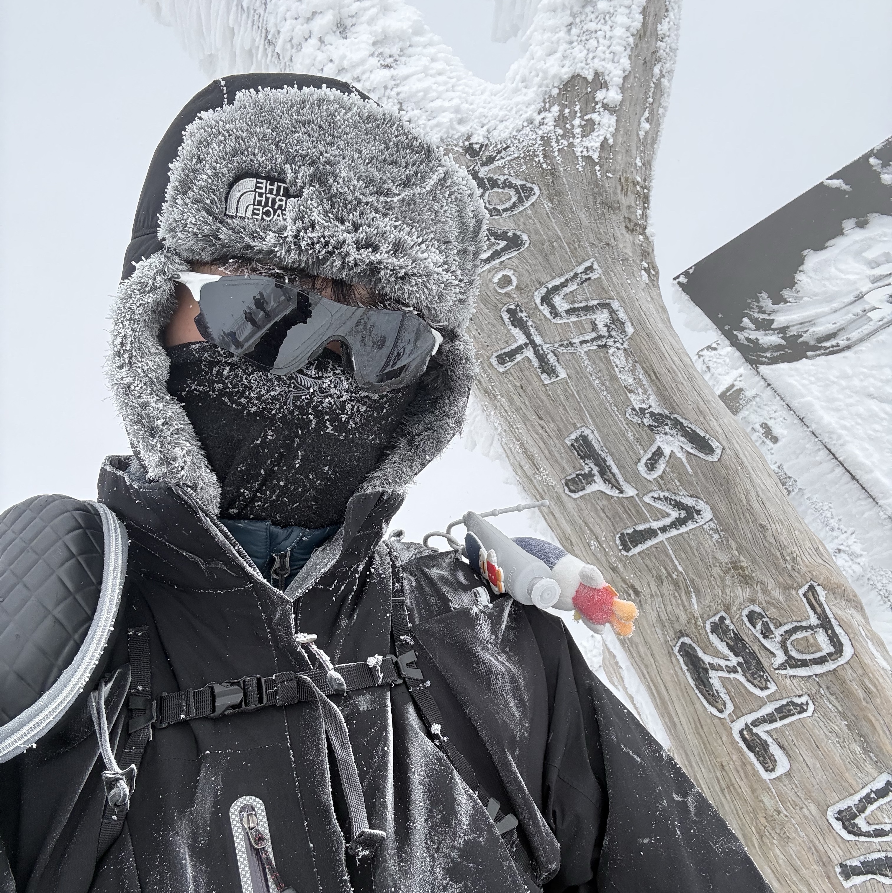 The North Face Expedition Earmuff Cap Black, Arc'teryx Rho Neck Gaiter Long Black 착용 스타일 - 2