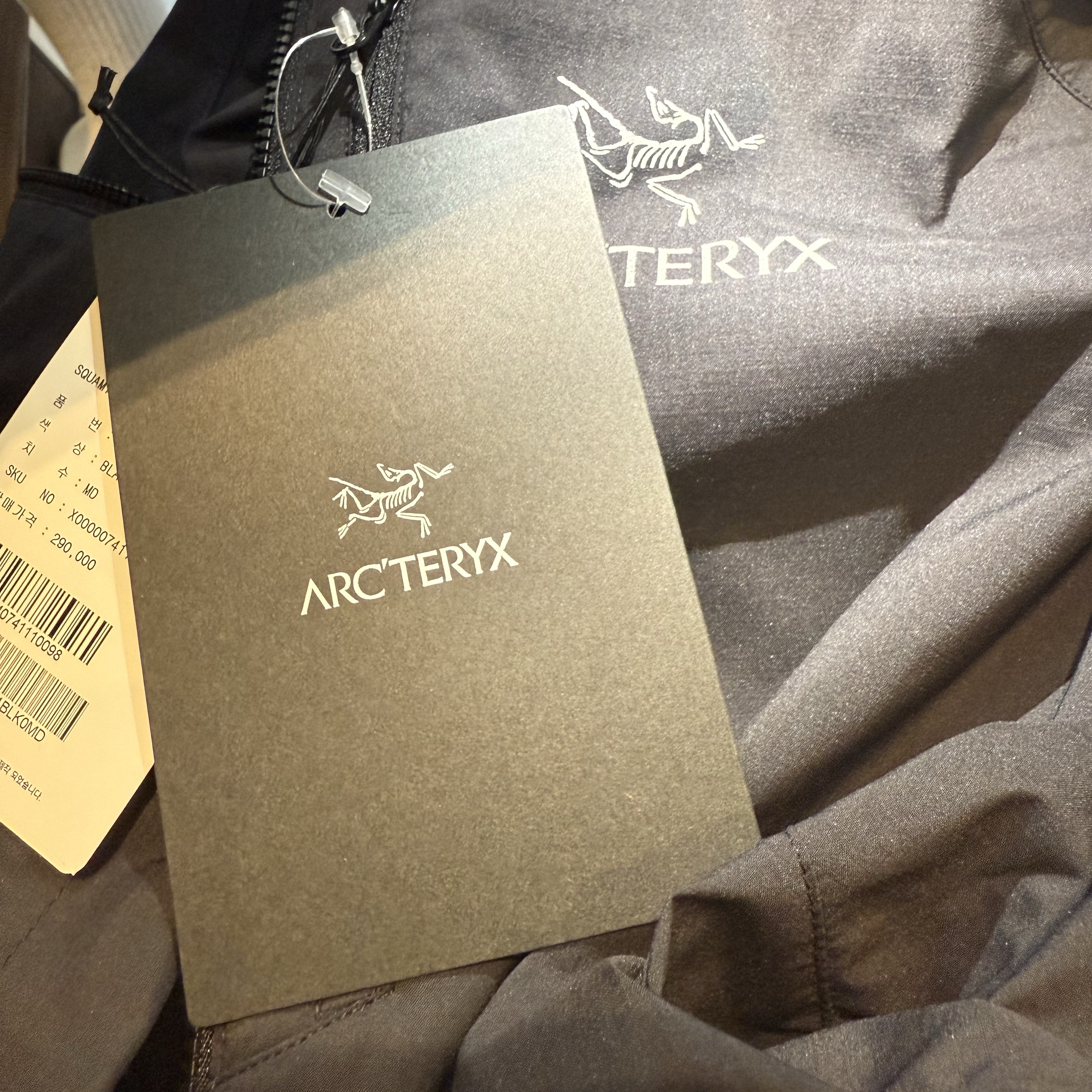 Arc'teryx Squamish Hoody Black 착용 스타일