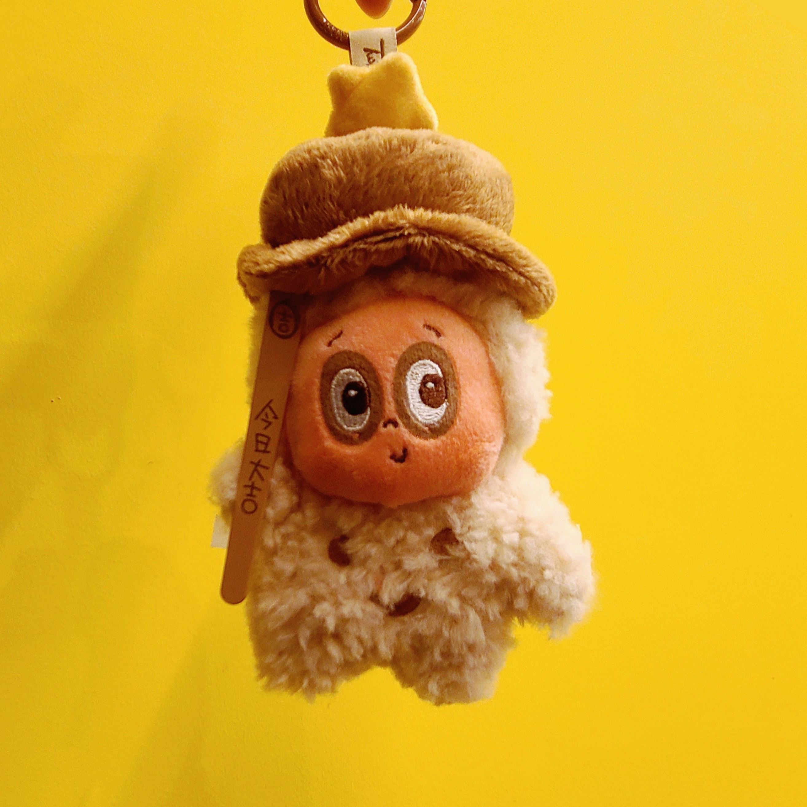 Pop Mart Twinkle Twinkle Be A Little Star Series Plush Pendant Sealed Case (1 Blind Box) 착용 스타일