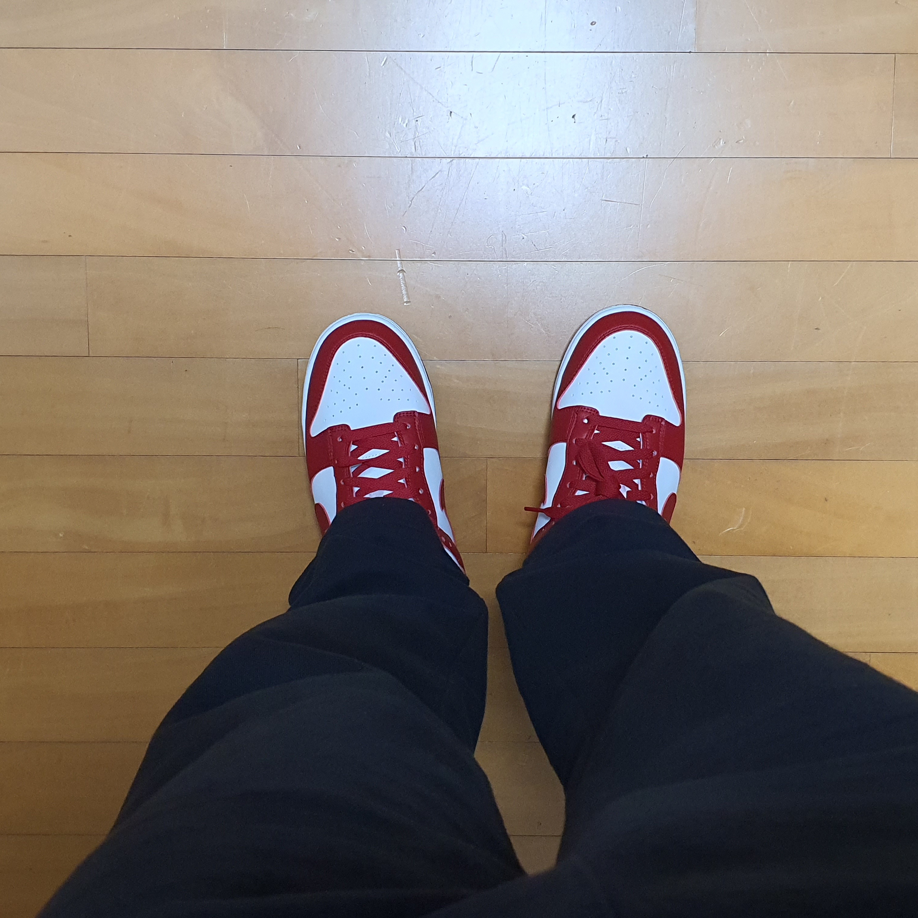 Nike Shox TL Metallic Silver Wolf Grey, (W) Nike Dunk Low Next Nature Gym Red 착용 스타일 - 2