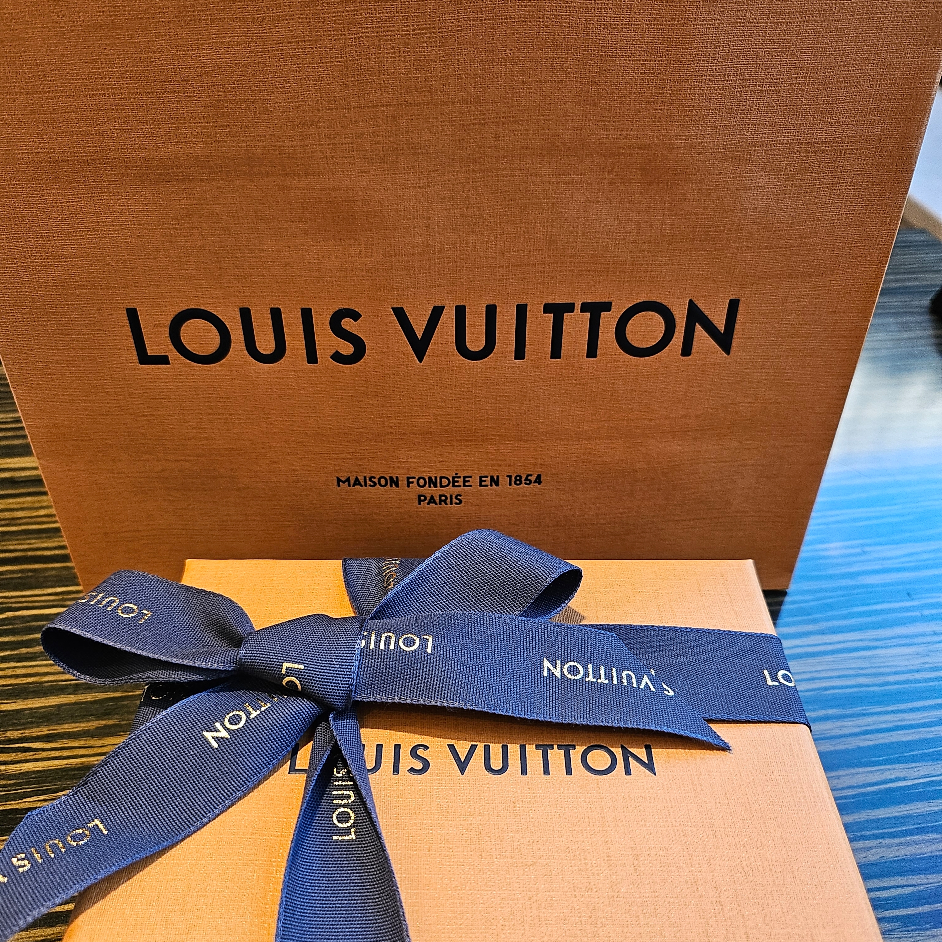 Louis Vuitton Vivienne Dragonne Bag Charm and Key Holder Black 착용 스타일 - 2