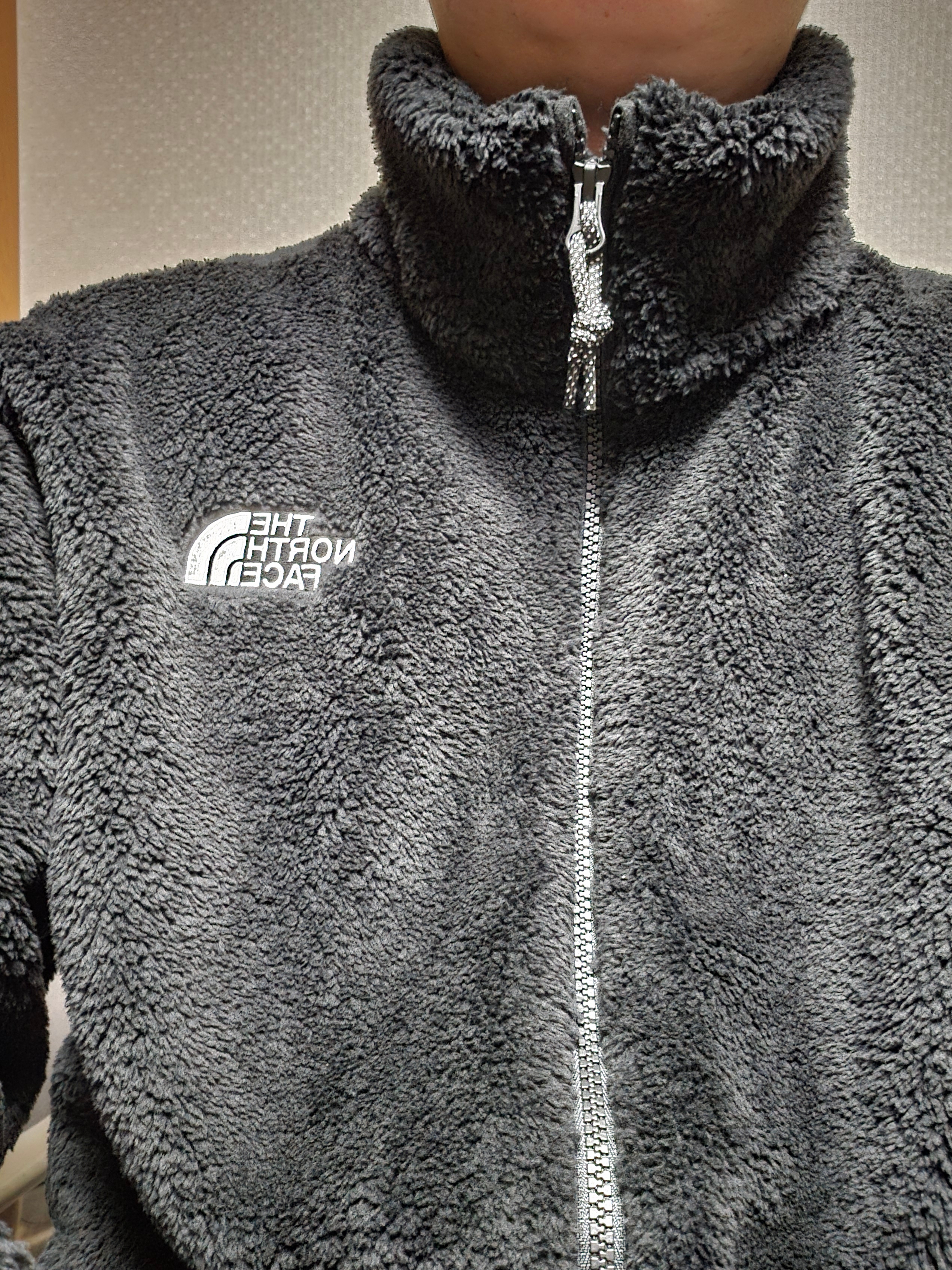 The North Face Comfy Alpha Fleece Zip Up Black 착용 스타일