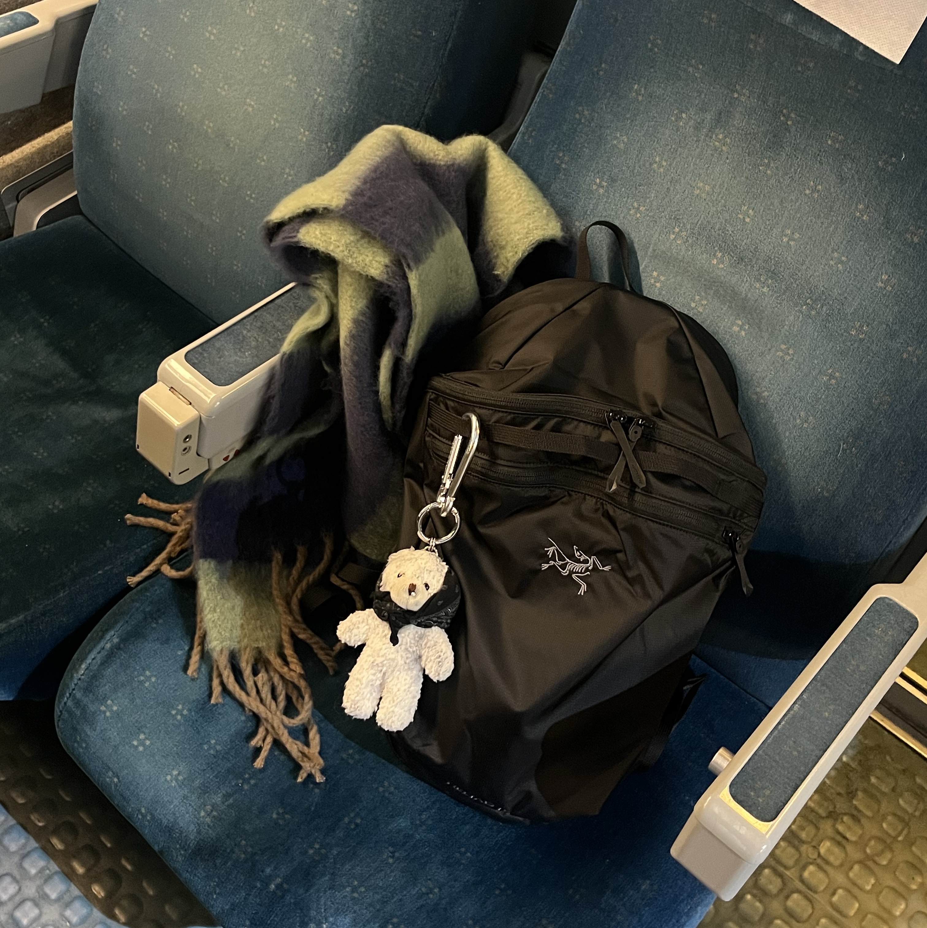 ALEXII Bandana Bear, Arc'teryx Heliad 15 Backpack Black 착용 스타일 - 1