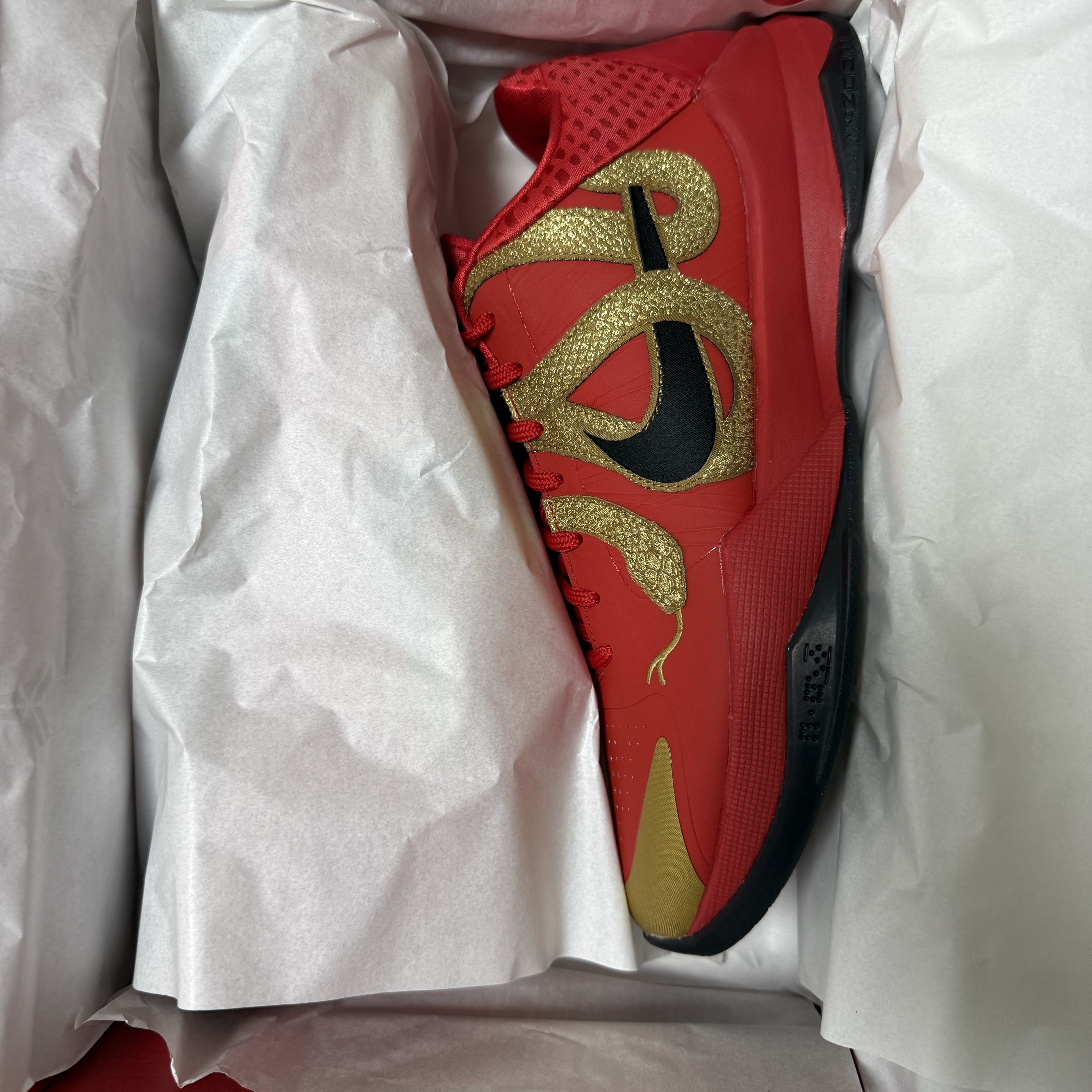 Nike Kobe 8 Protro Venice Beach, Nike Kobe 5 Protro Year of the Mamba Eggplant 착용 스타일 - 5