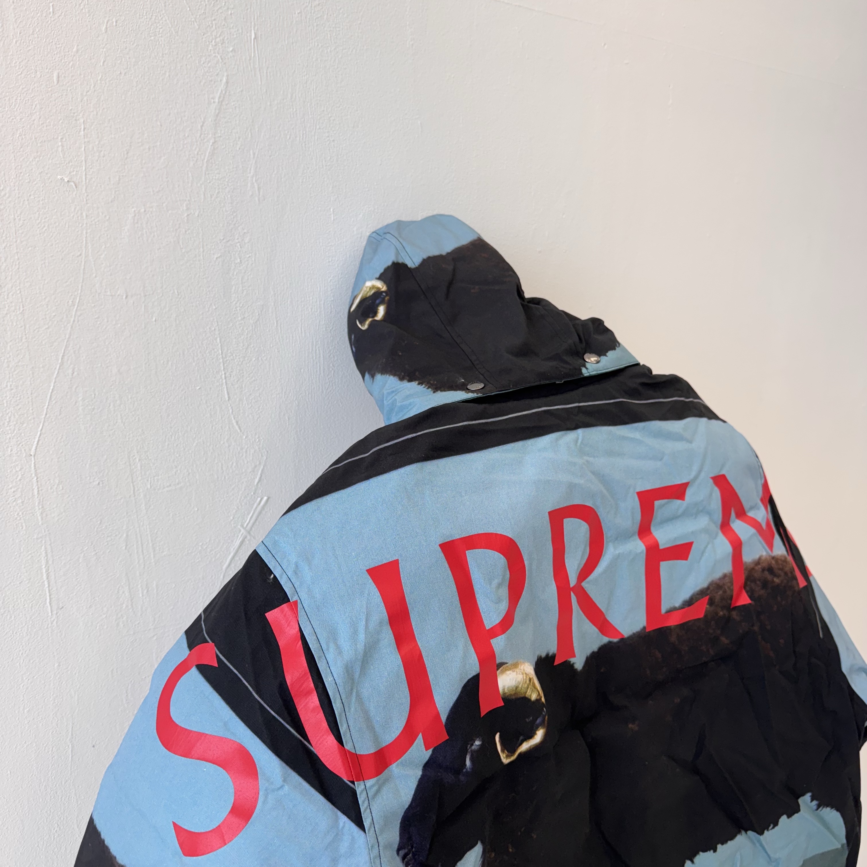 Supreme x Damien Hirst Down Puffer Jacket Black - 25SS 착용 스타일