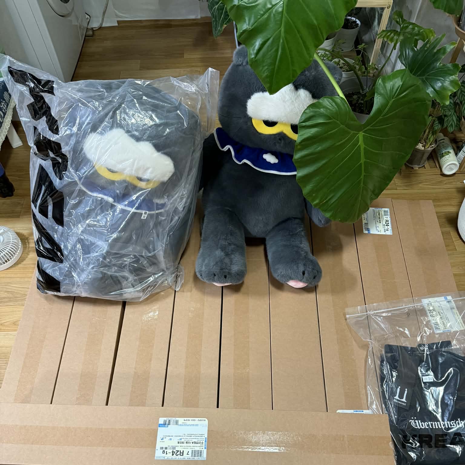 Zo&Friends Zoa Big Plush Grey, G-DRAGON Ubermensch Short Sleeve T-Shirt Black 착용 스타일