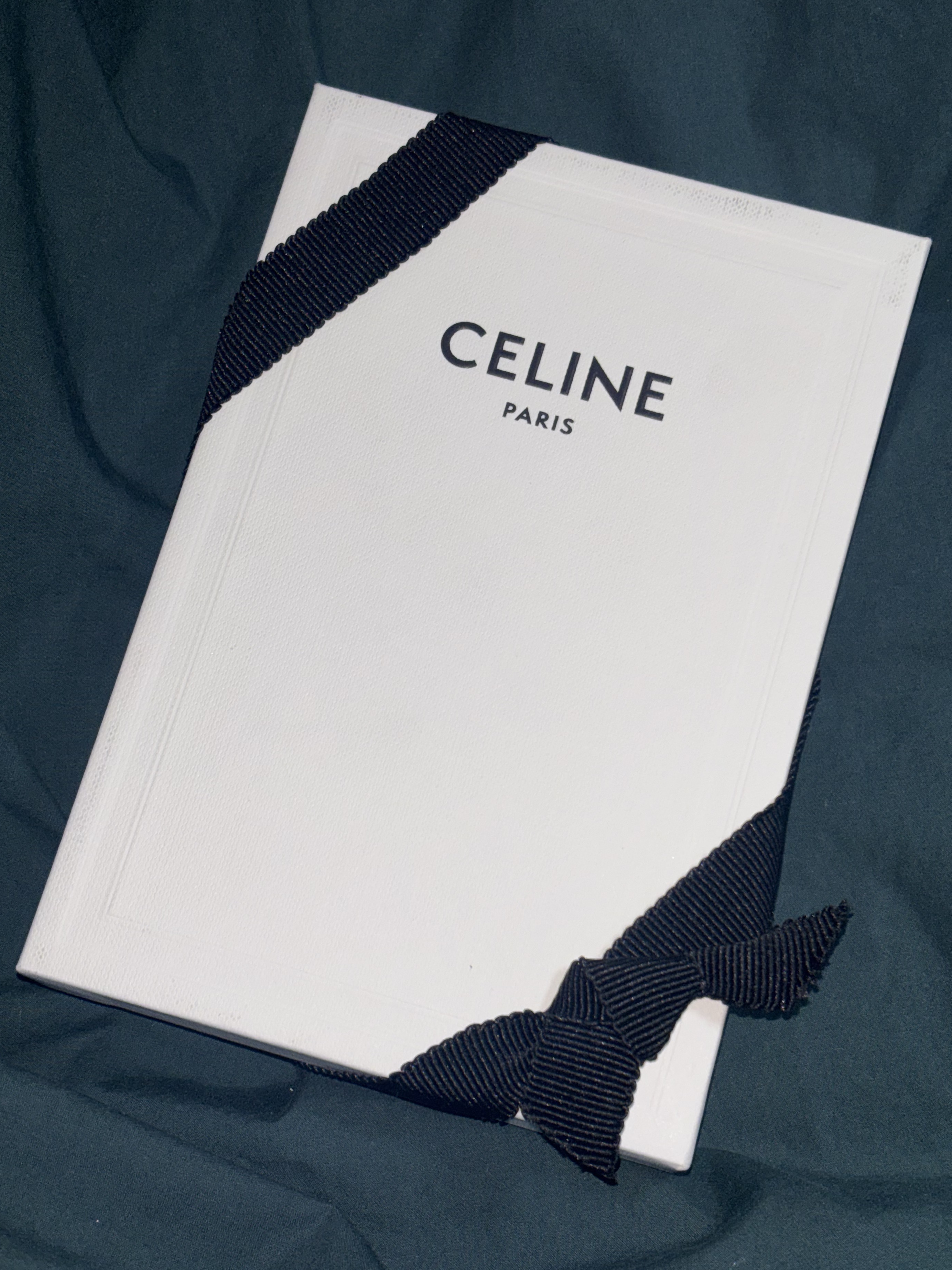 Celine Bi-Fold Card Holder in Shiny Calfskin Black 착용 스타일 - 2