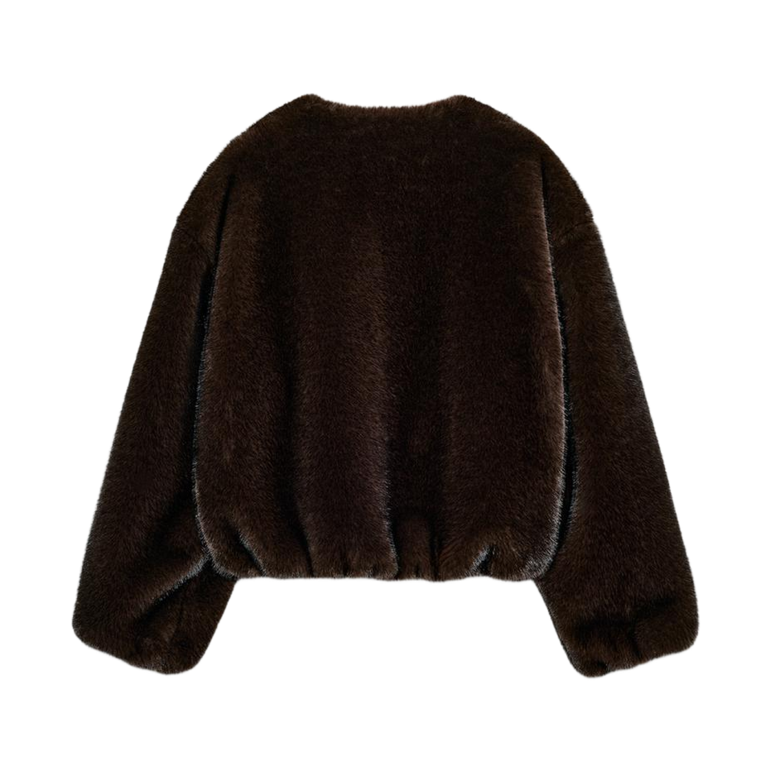 (W) 자라 포우 퍼 봄버 자켓 다크 브라운((W) Zara Faux Fur Bomber Jacket Dark Brown) - 2