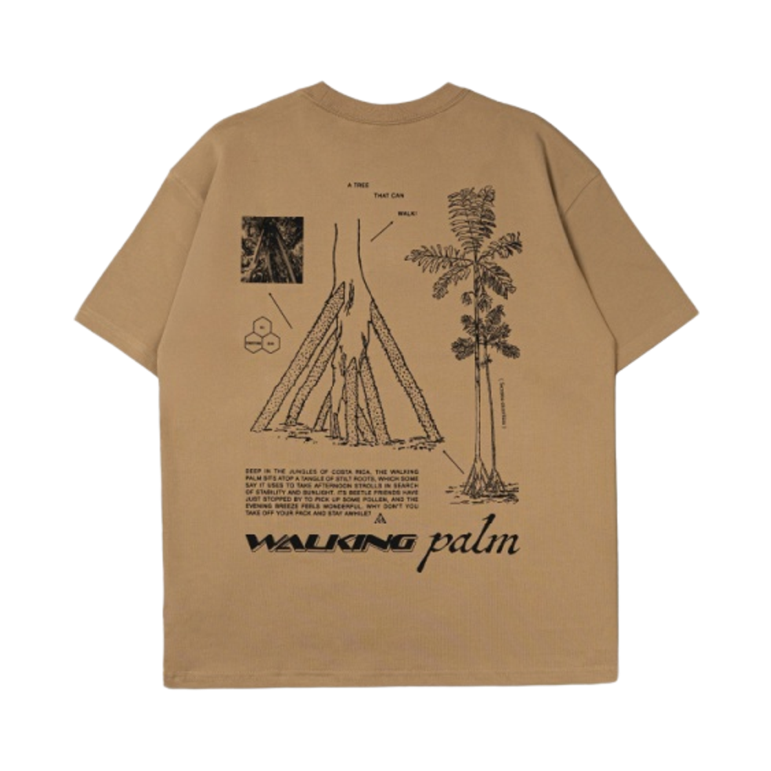 나이키 ACG 워킹 트리 드라이핏 티셔츠 파라슈트 베이지 - US/EU(Nike ACG Walking Tree Dri-Fit T-Shirt Parachute Beige - US/EU) - 2