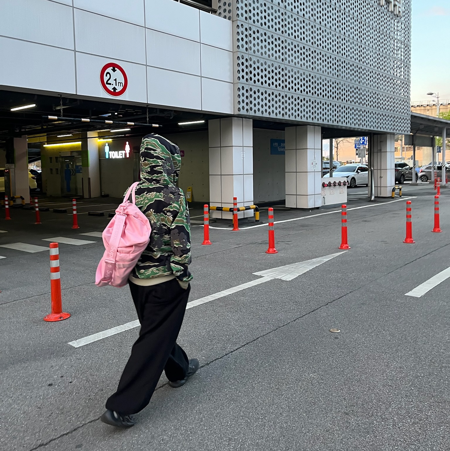 Denim Tears Cotton Wreath Zip Hoodie Tiger Camo, Supreme Duffle Bag Light Pink - 25SS 착용 스타일 - 2