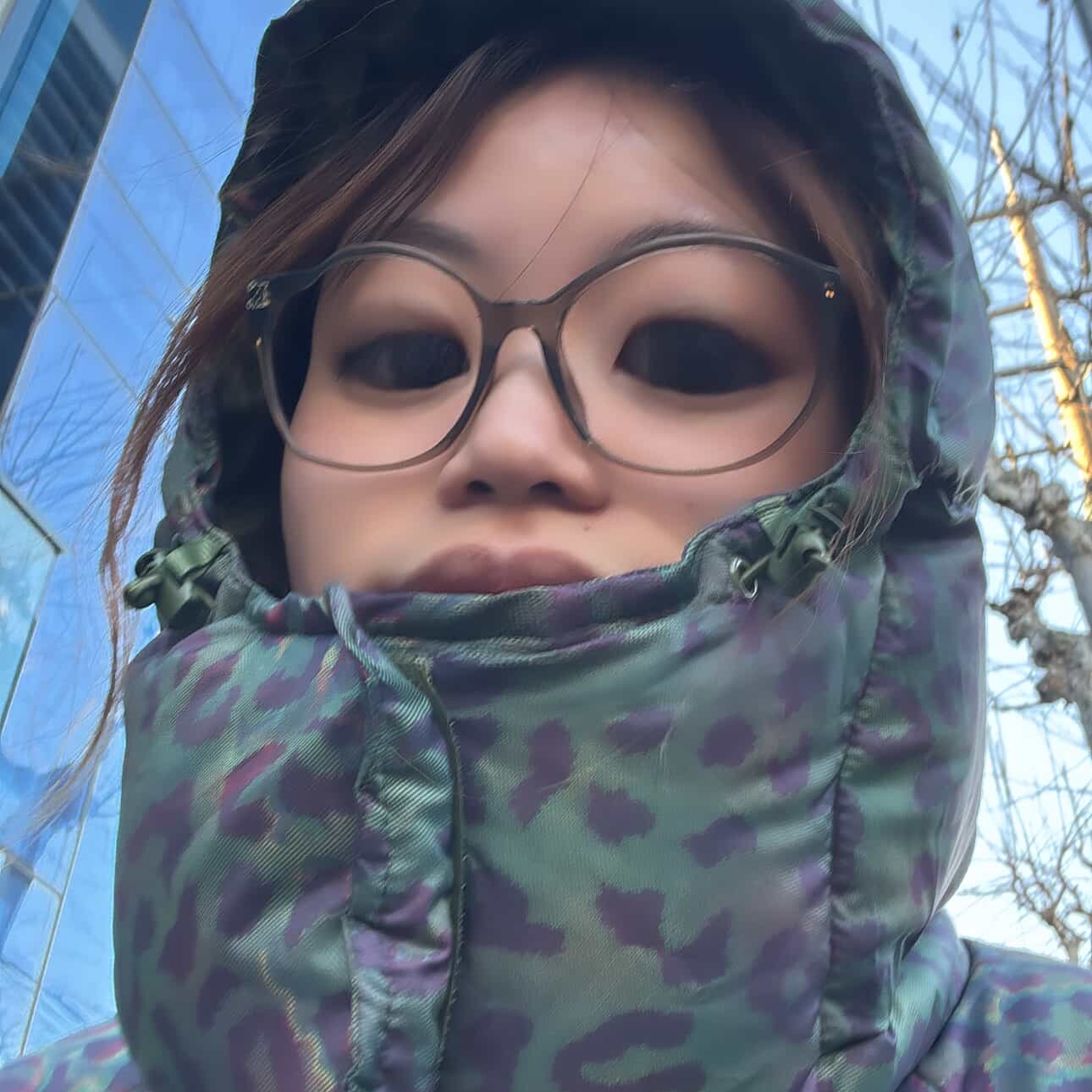Supreme 700-Fill Down Lightweight Puffer Jacket Leopard - 24FW 착용 스타일