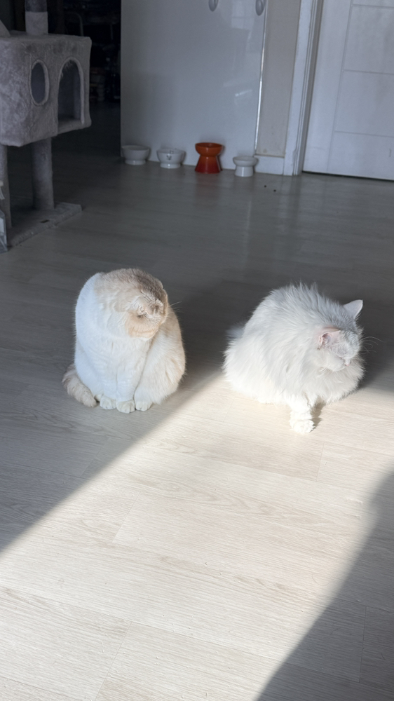 관심 유저 프로필 이미지